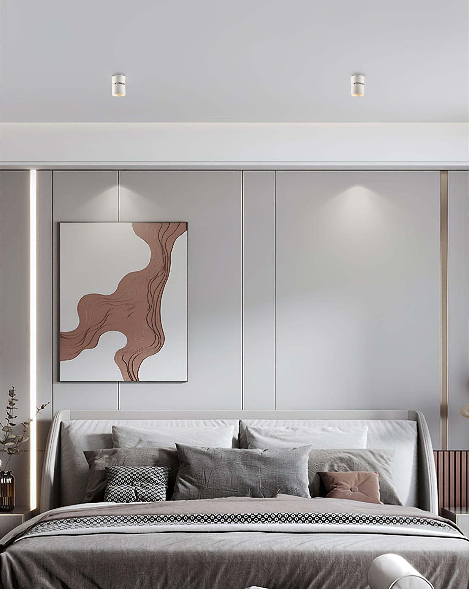 Alvynora Modern Minimalist Spotlights Ceiling lamp - Letslighting