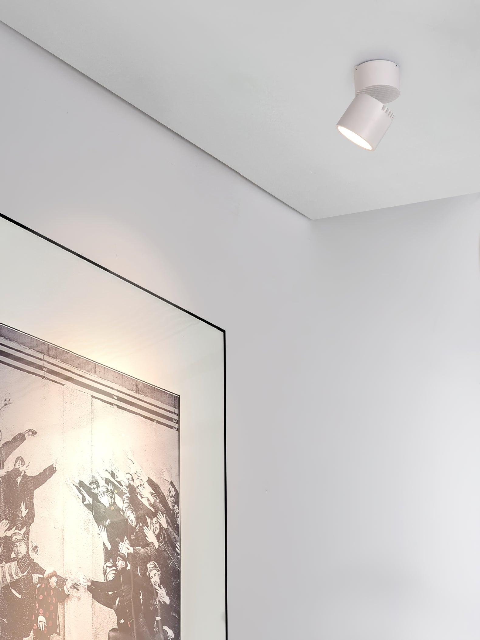 Alvynora Modern Minimalist Spotlights Ceiling lamp - Letslighting