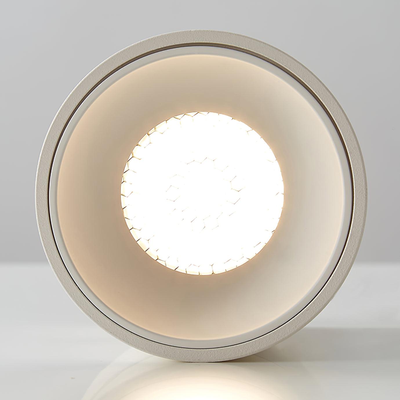 Alvynora Modern Minimalist Spotlights Ceiling lamp - Letslighting