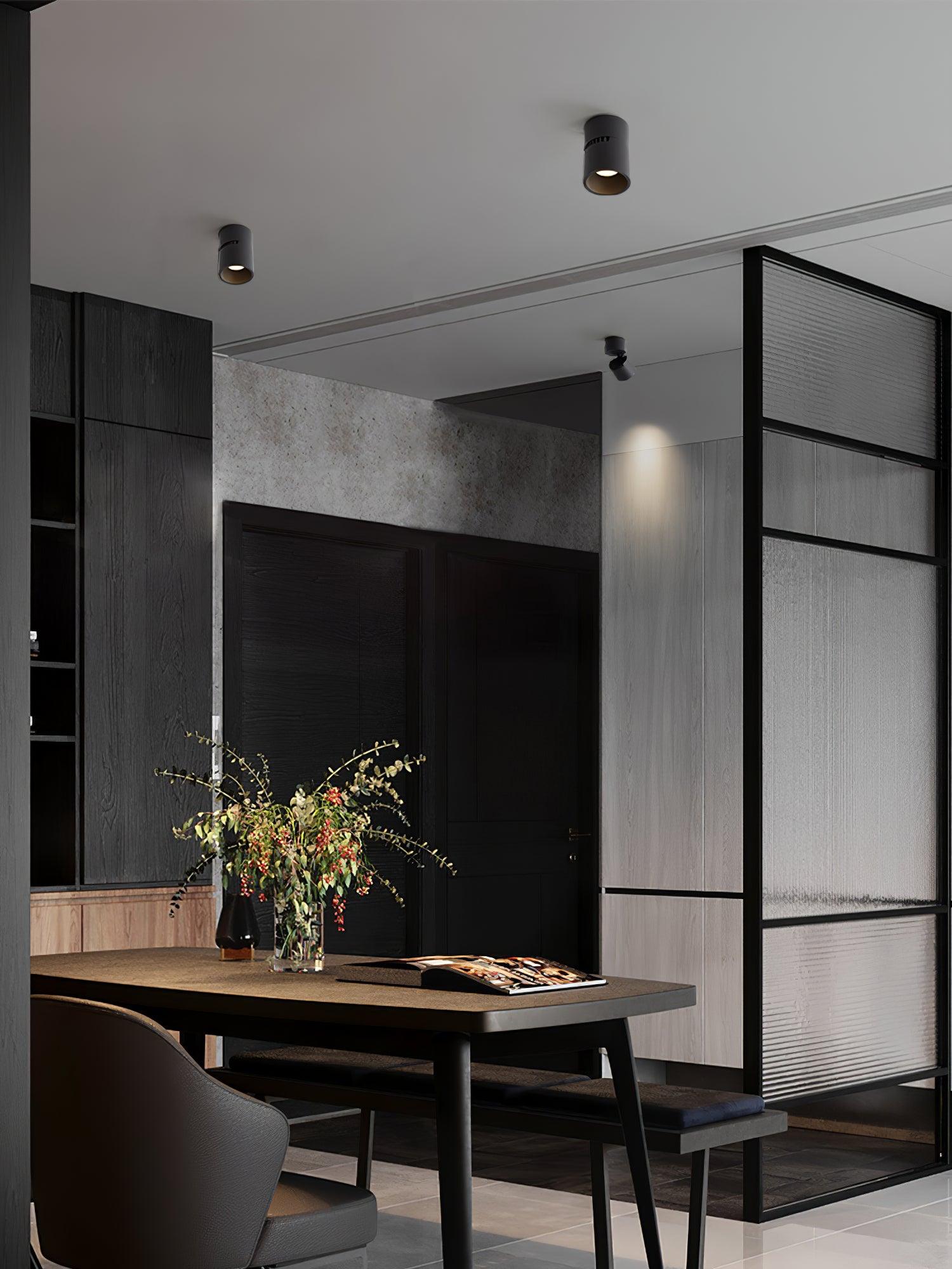 Alvynora Modern Minimalist Spotlights Ceiling lamp - Letslighting