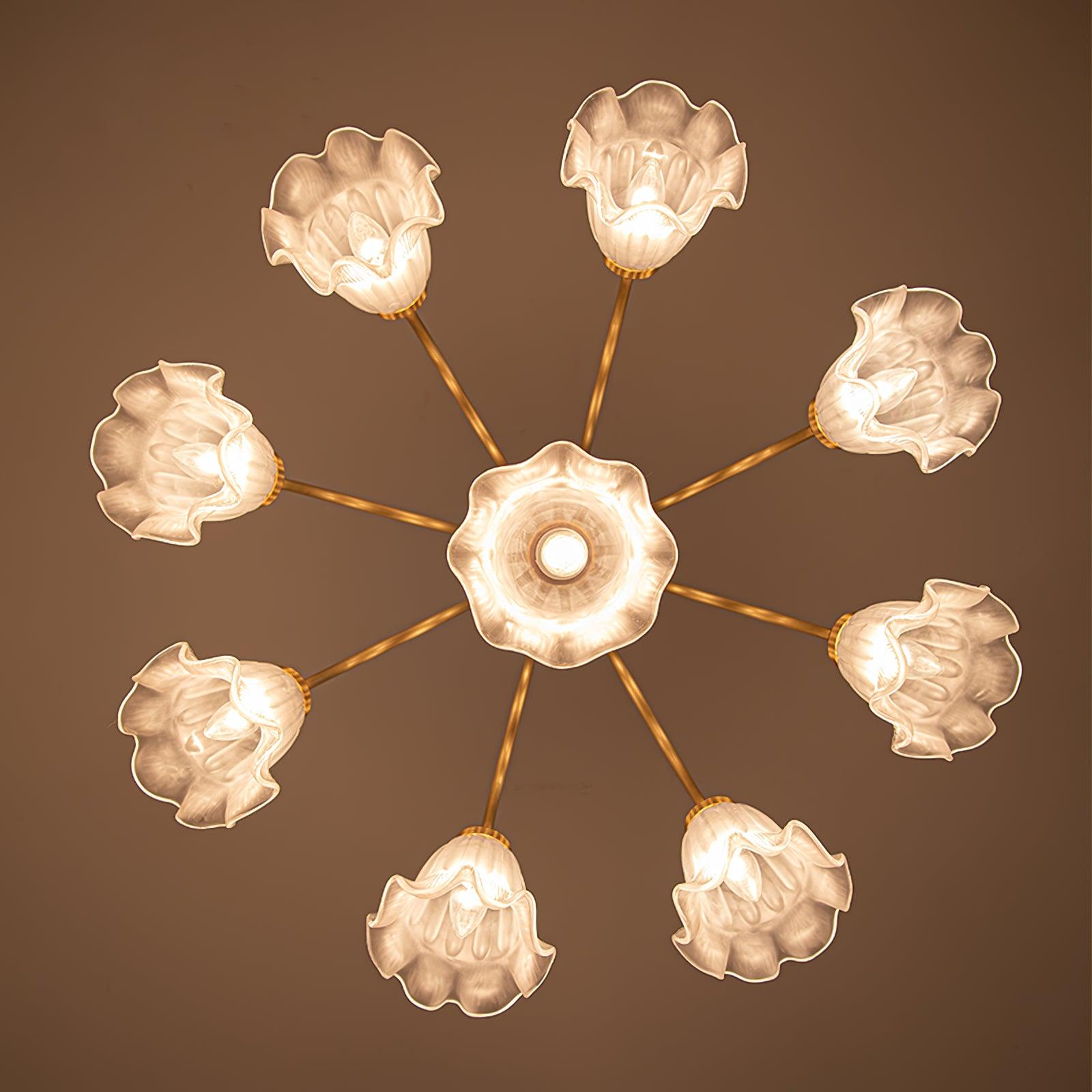 Forrest Luxury Glass Chandelier - Letslighting
