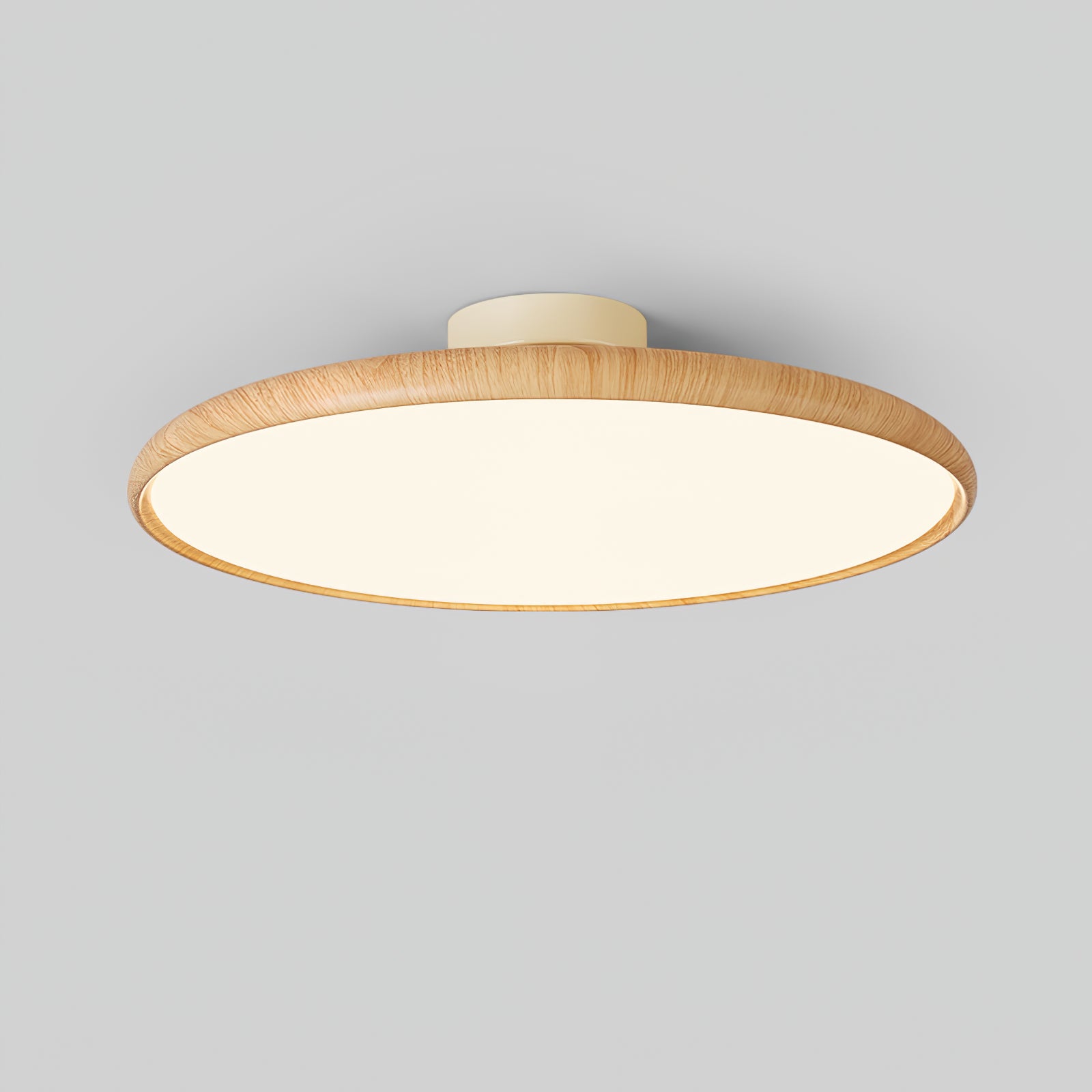 Ishaos Modern Minimalist Adjustable Ceiling Lamp - Letslighting