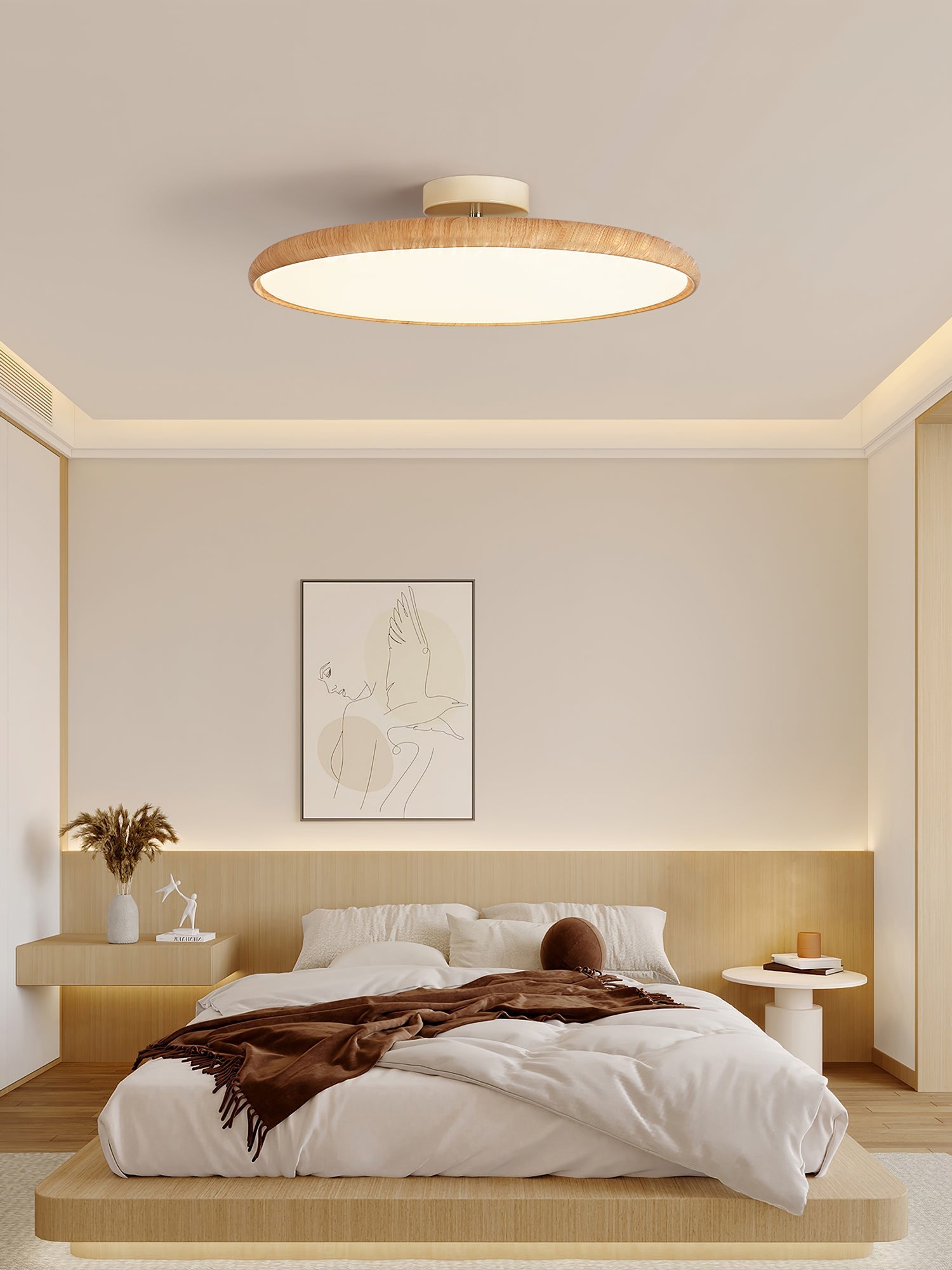 Ishaos Modern Minimalist Adjustable Ceiling Lamp - Letslighting