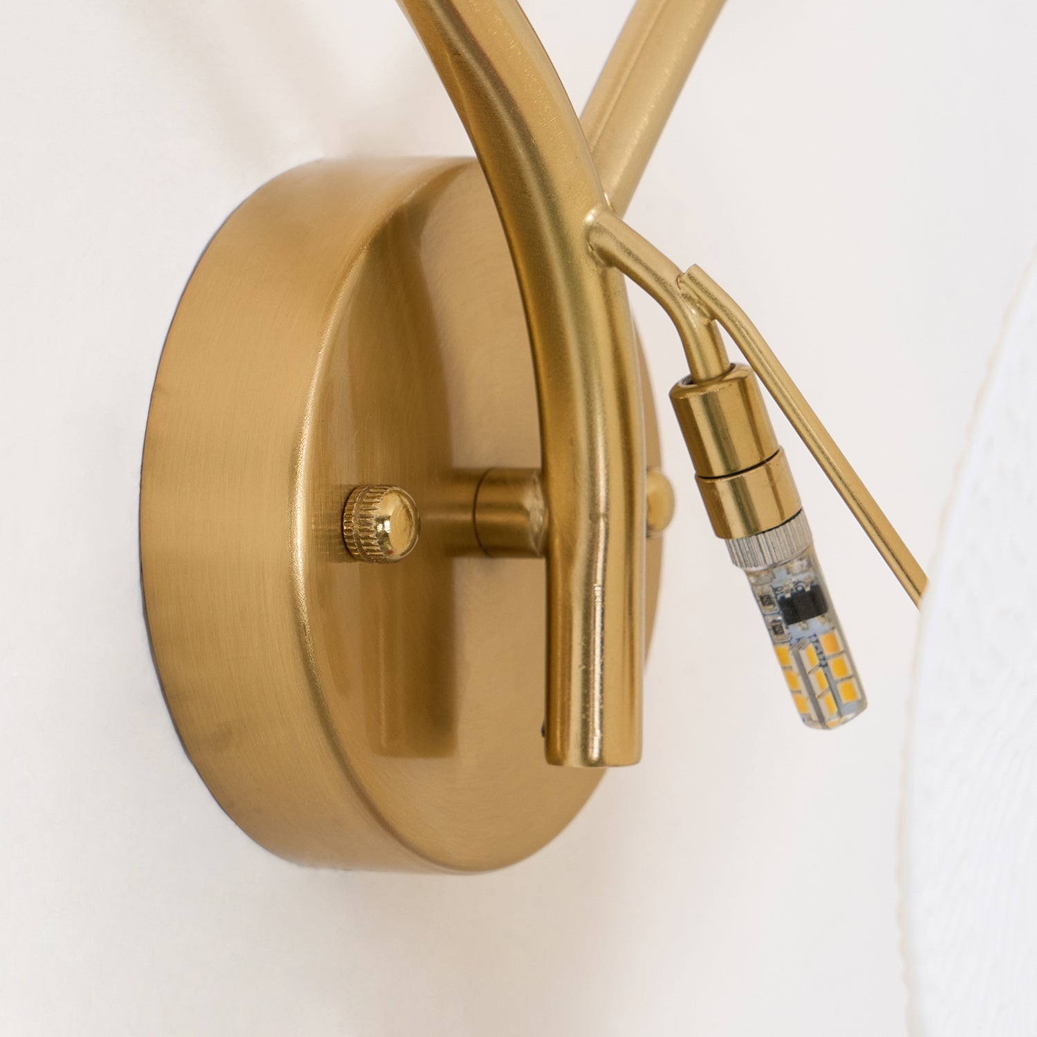 Olivia Lotus Petal Wall Lamp