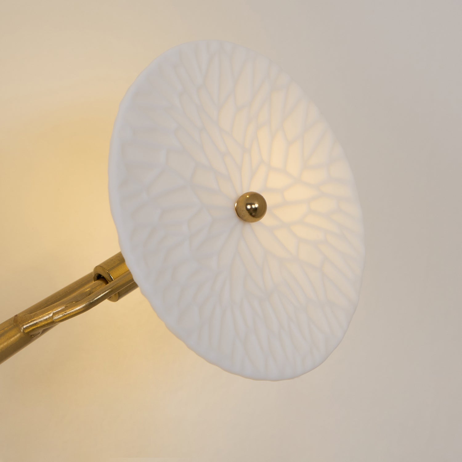 Olivia Lotus Petal Wall Lamp