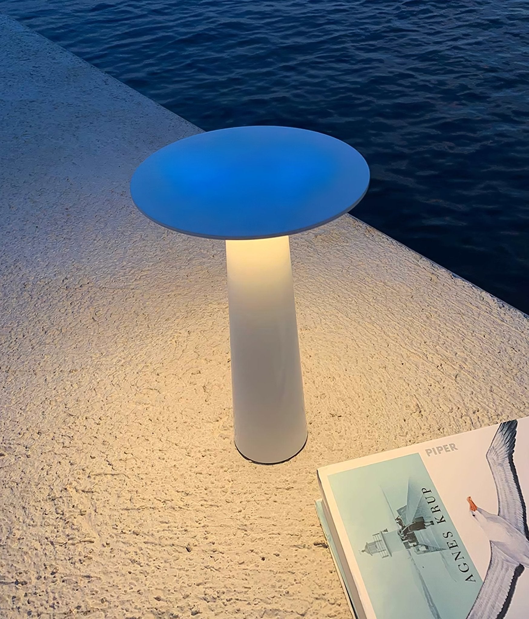 Luma Disk Outdoor Table Light - Letslighting