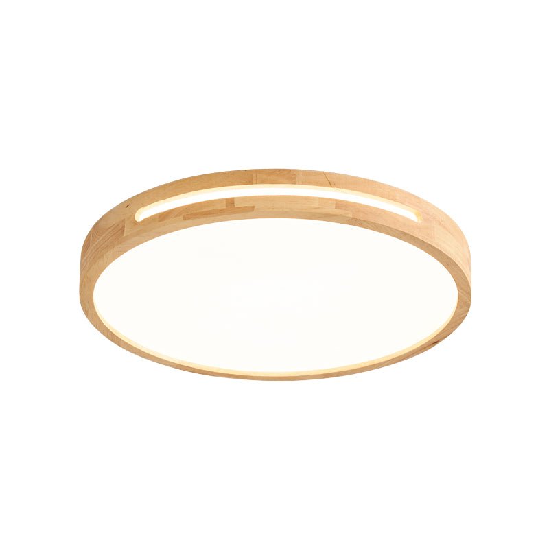 Vizoros Modern Minimalist Ceiling Light - Letslighting