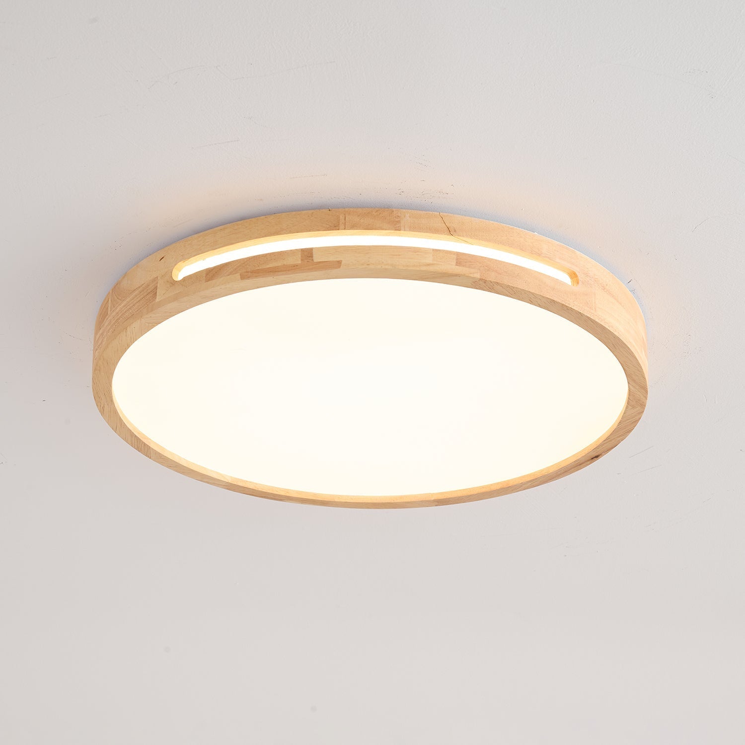 Vizoros Modern Minimalist Ceiling Light - Letslighting