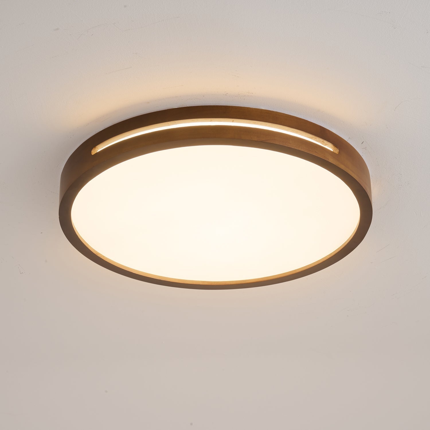 Vizoros Modern Minimalist Ceiling Light - Letslighting