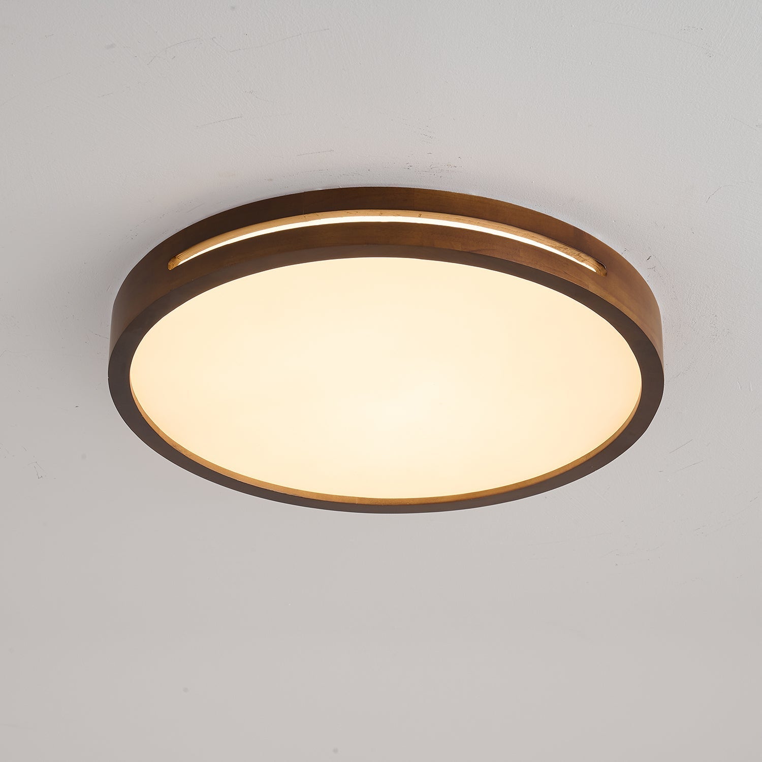 Vizoros Modern Minimalist Ceiling Light - Letslighting