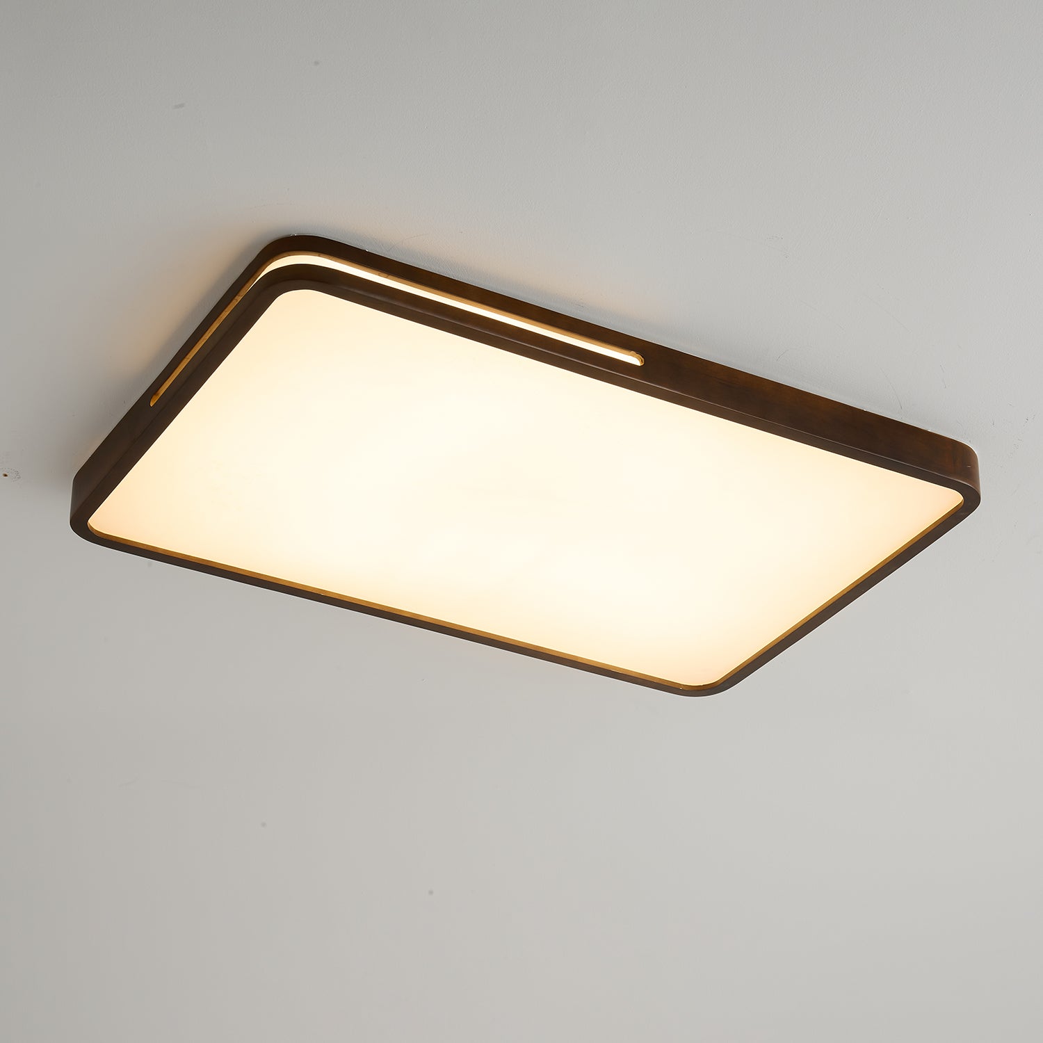 Vizoros Modern Minimalist Ceiling Light - Letslighting