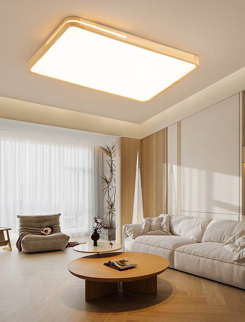 Vizoros Modern Minimalist Ceiling Light - Letslighting