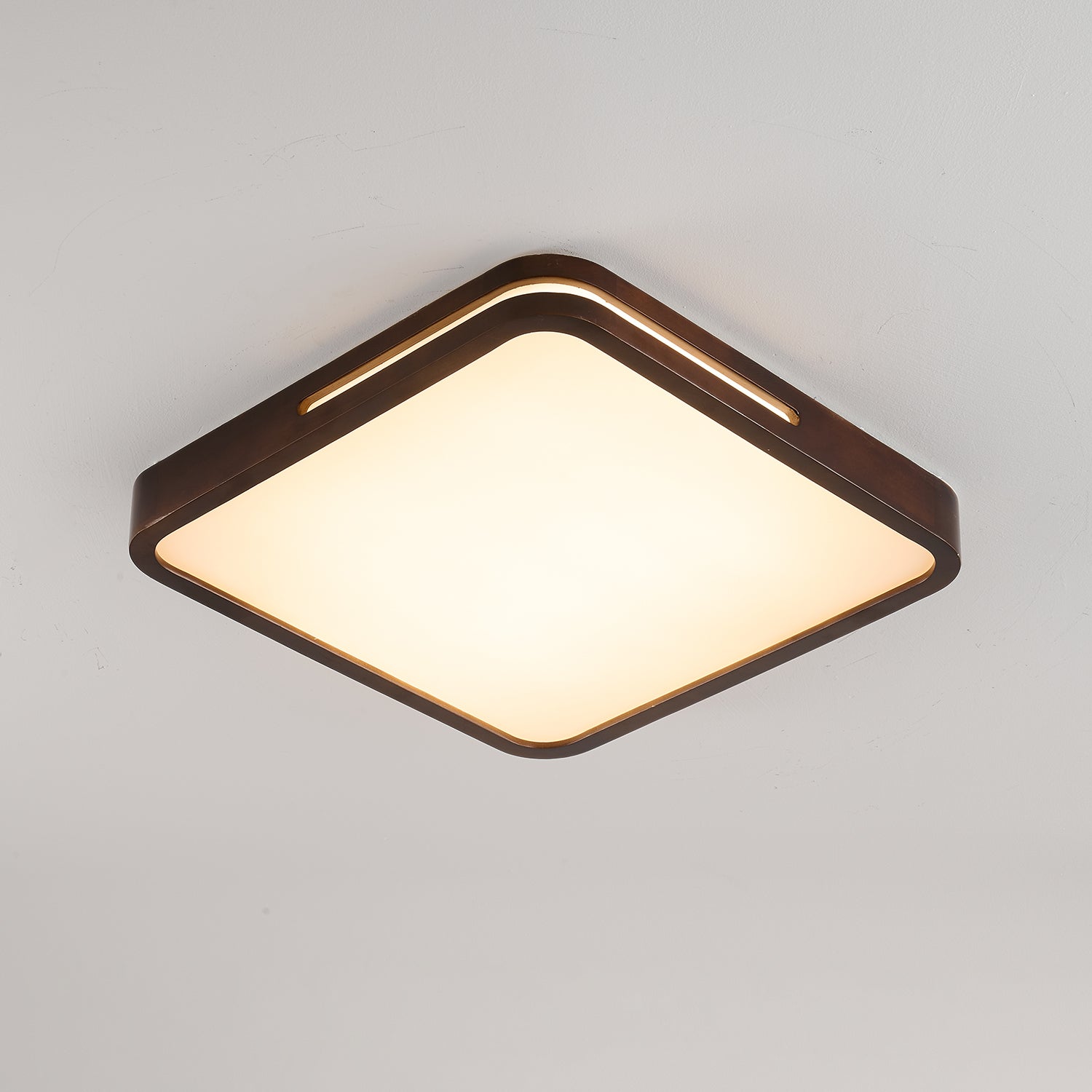 Vizoros Modern Minimalist Ceiling Light - Letslighting