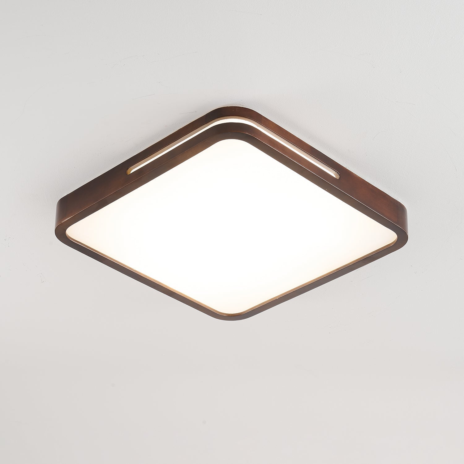 Vizoros Modern Minimalist Ceiling Light - Letslighting
