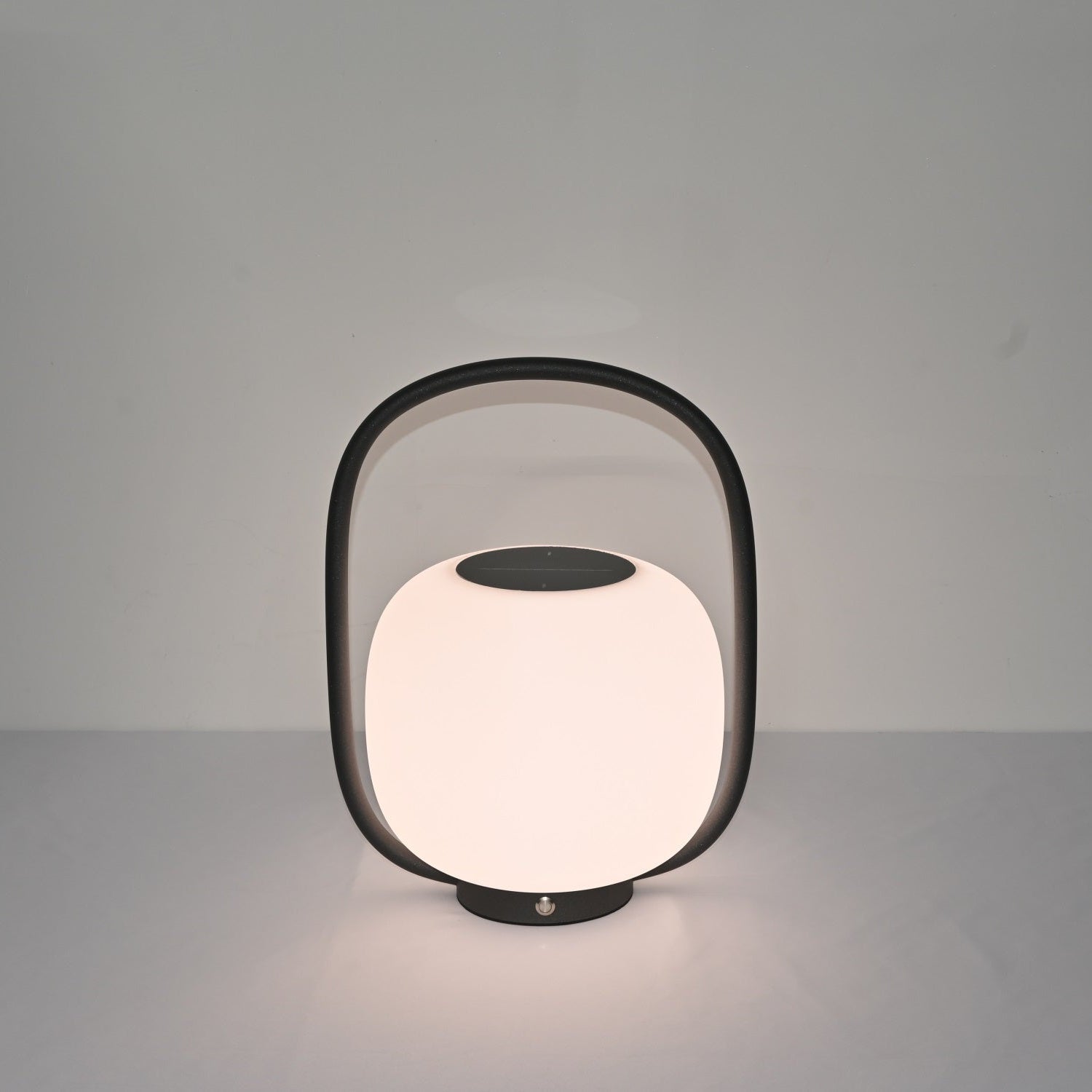 Brandon Clear PE Outdoor Light - Letslighting