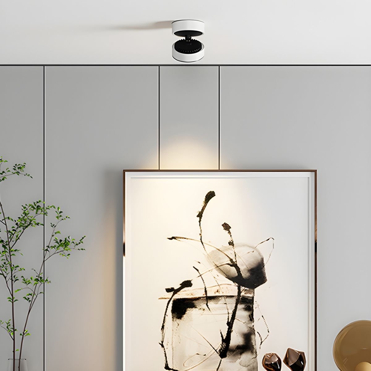 Colorara Modern Minimalist Adjustable Surface Downlight Ceiling lamp - Letslighting