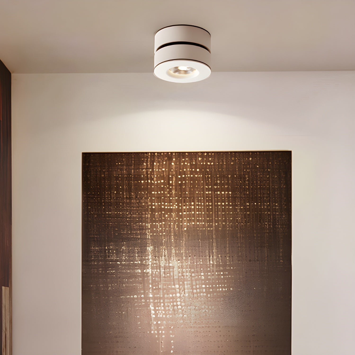 Colorara Modern Minimalist Adjustable Surface Downlight Ceiling lamp - Letslighting