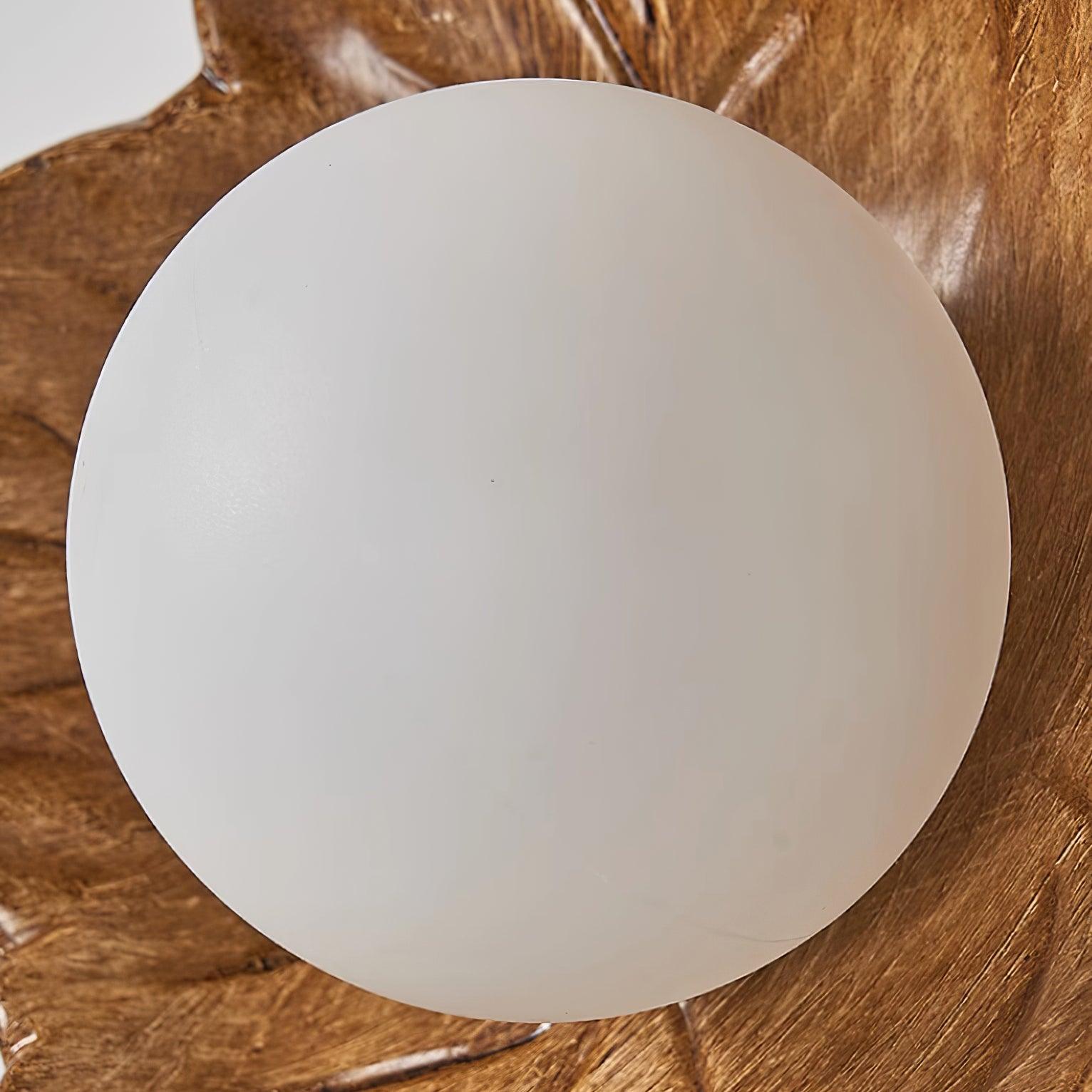 Maple Leaf Wall Light Elegant Organic - Letslighting