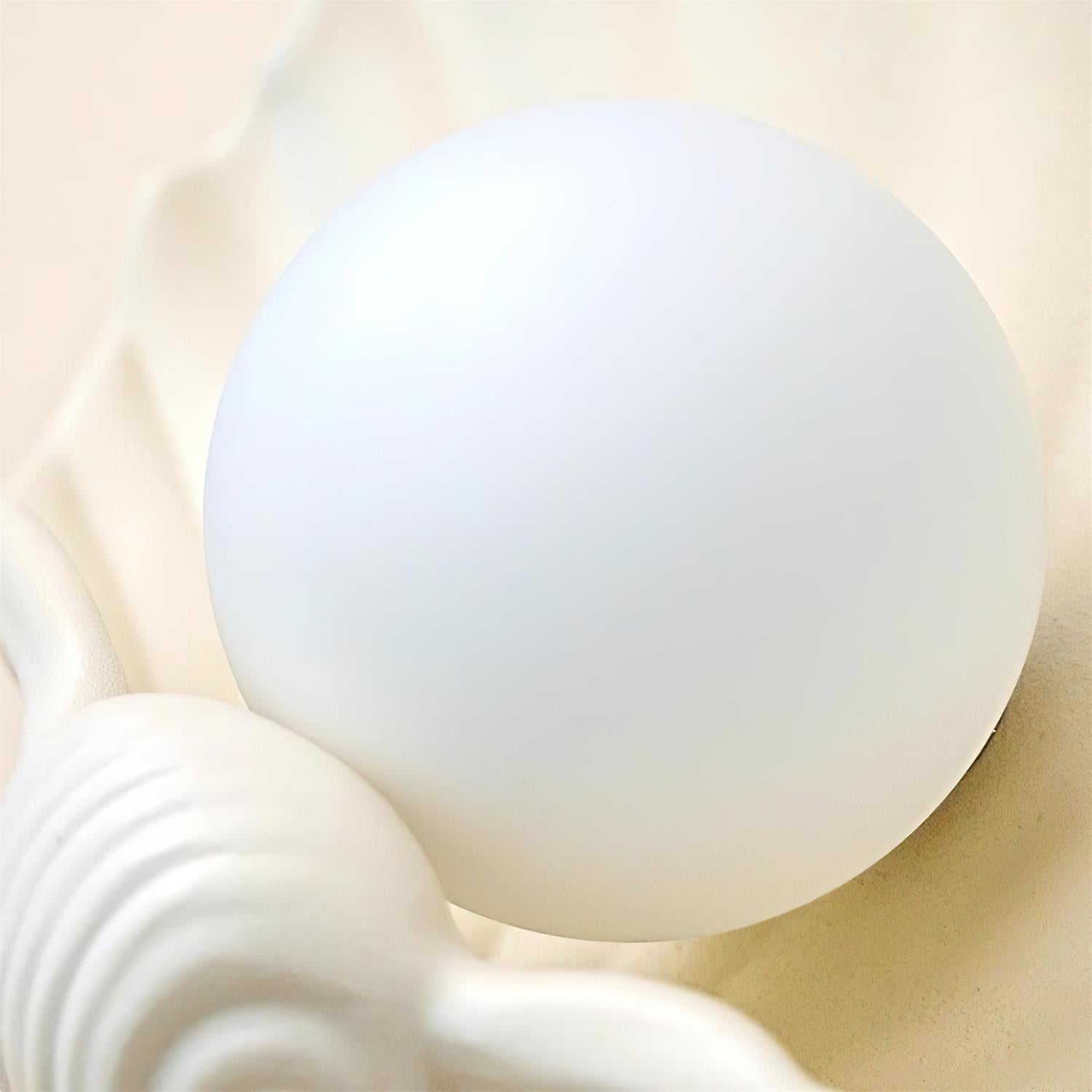Shell-shaped Wall Lamp - Letslighting