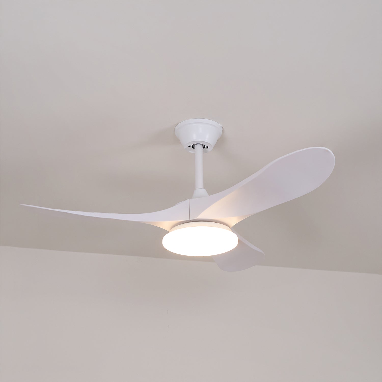 Elora Minimalist Ceiling Fan Light - Letslighting