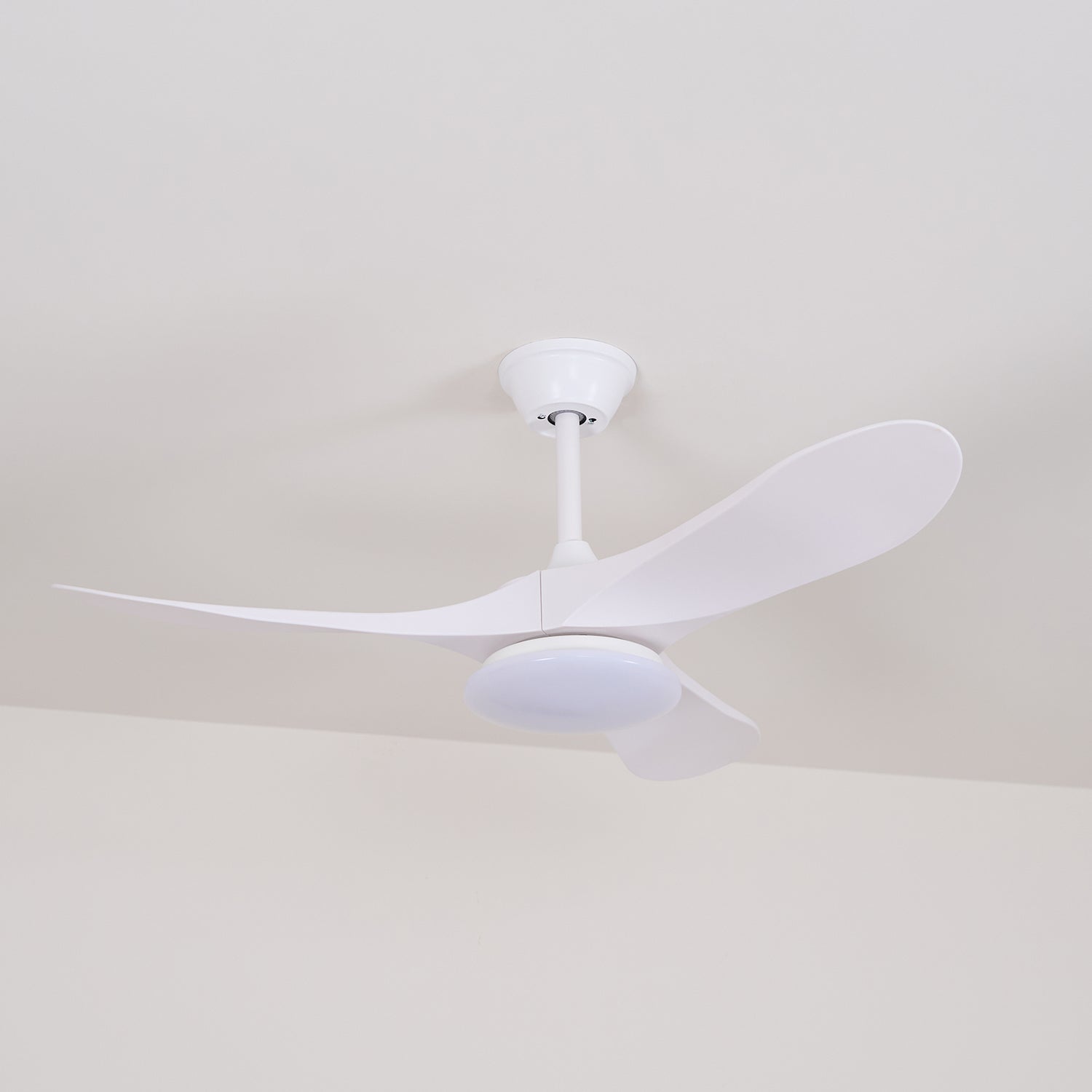 Elora Minimalist Ceiling Fan Light - Letslighting