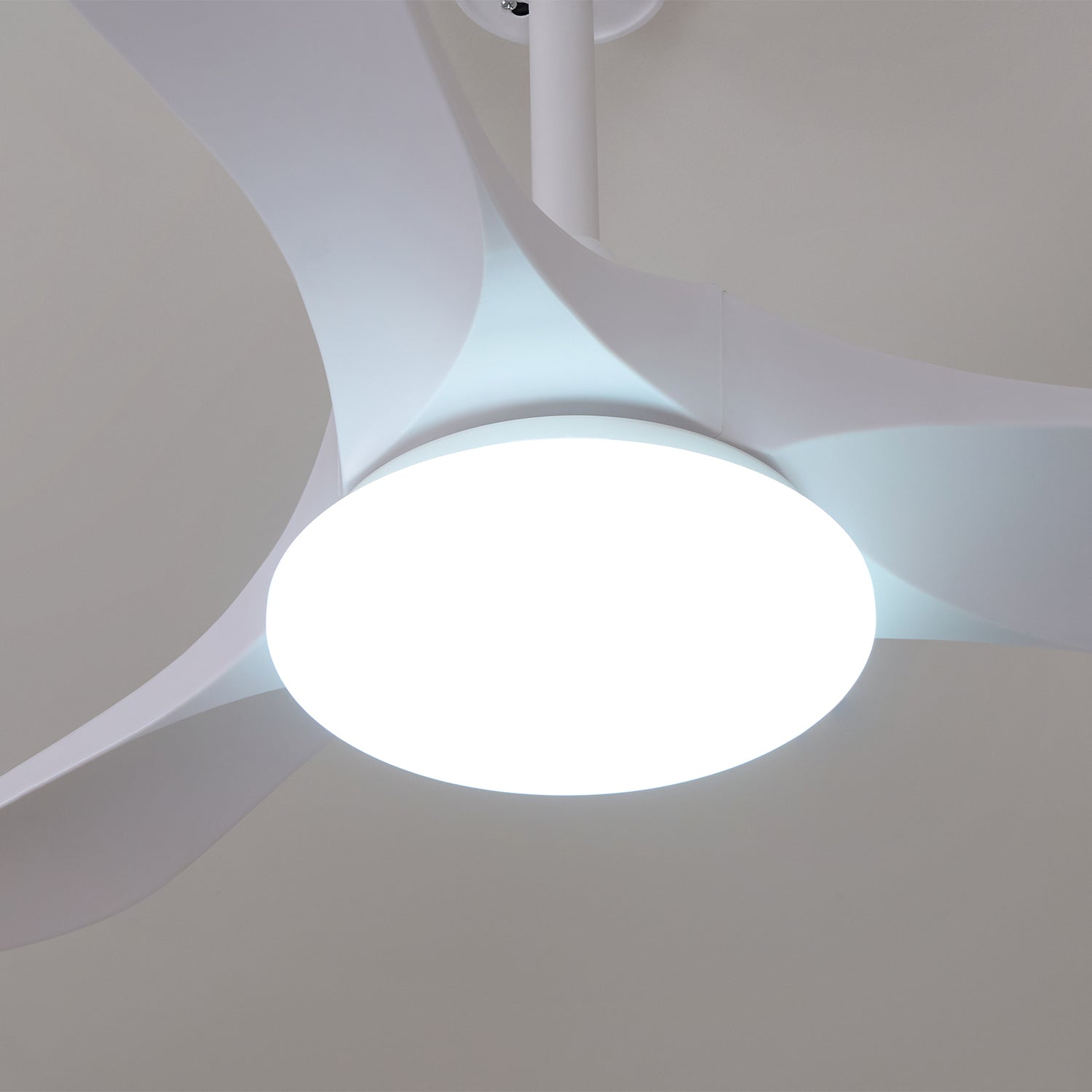 Elora Minimalist Ceiling Fan Light - Letslighting