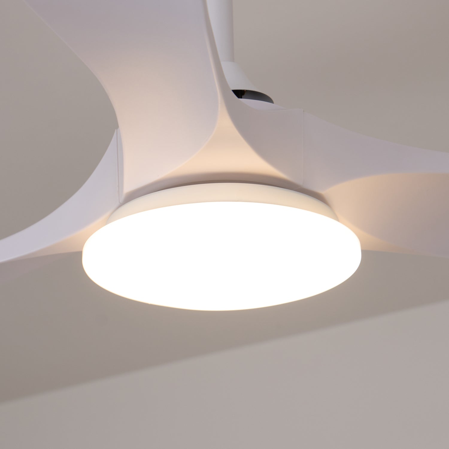 Elora Minimalist Ceiling Fan Light - Letslighting