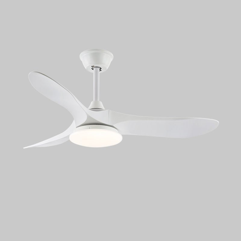Elora Minimalist Ceiling Fan Light - Letslighting