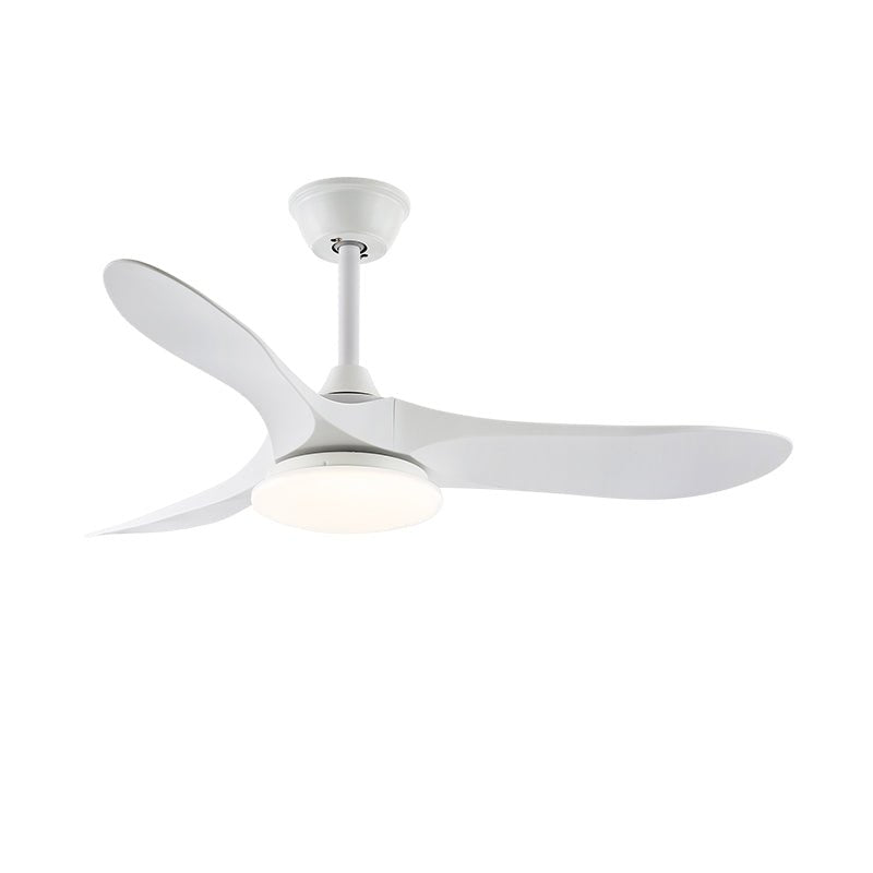Elora Minimalist Ceiling Fan Light - Letslighting