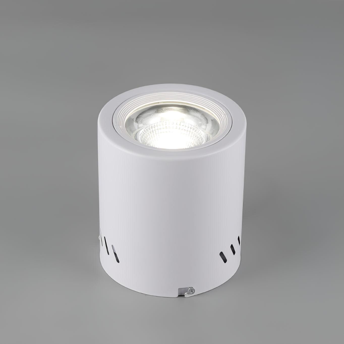 Lustra Spotlight Maxi Rebel Surface-Mounted - Letslighting