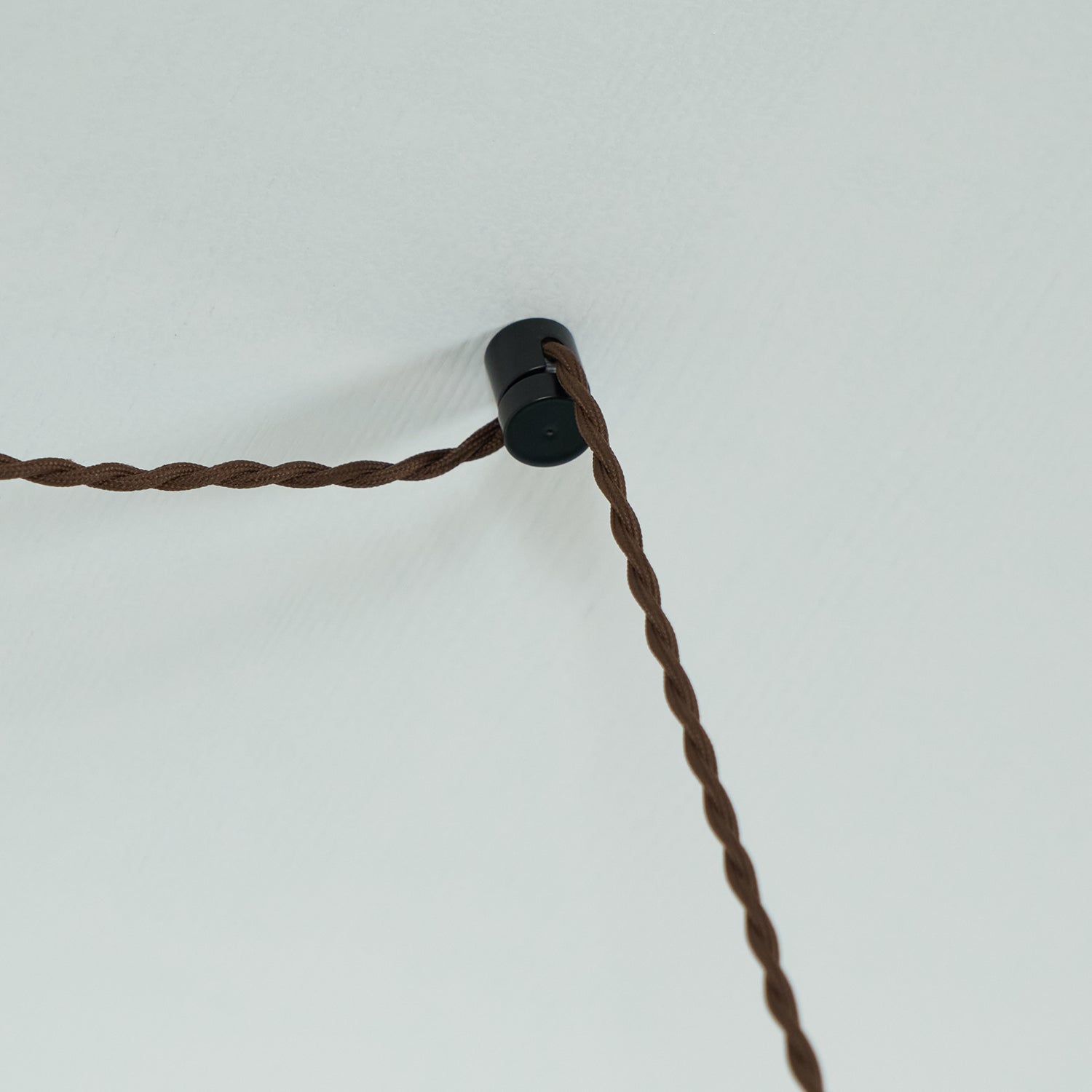 Valentina Plug In Pendant Light
