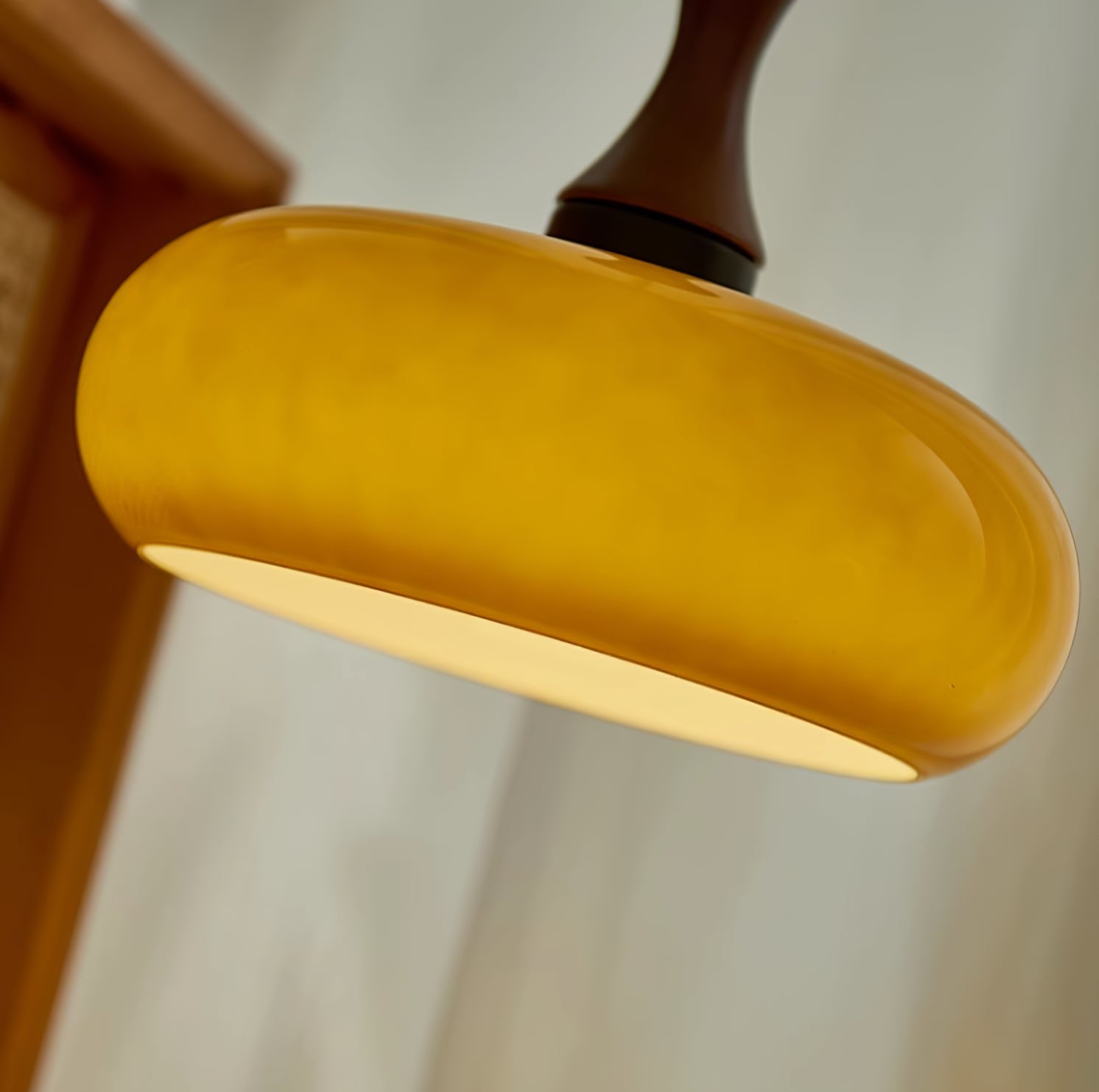 Valentina Plug In Pendant Light