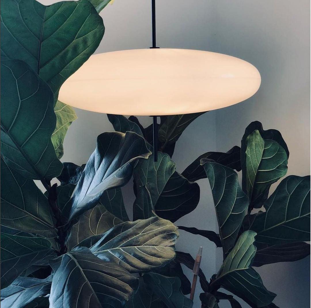 Lustra Pendant Lamp Joined Black-Painted for Living Room - Letslighting