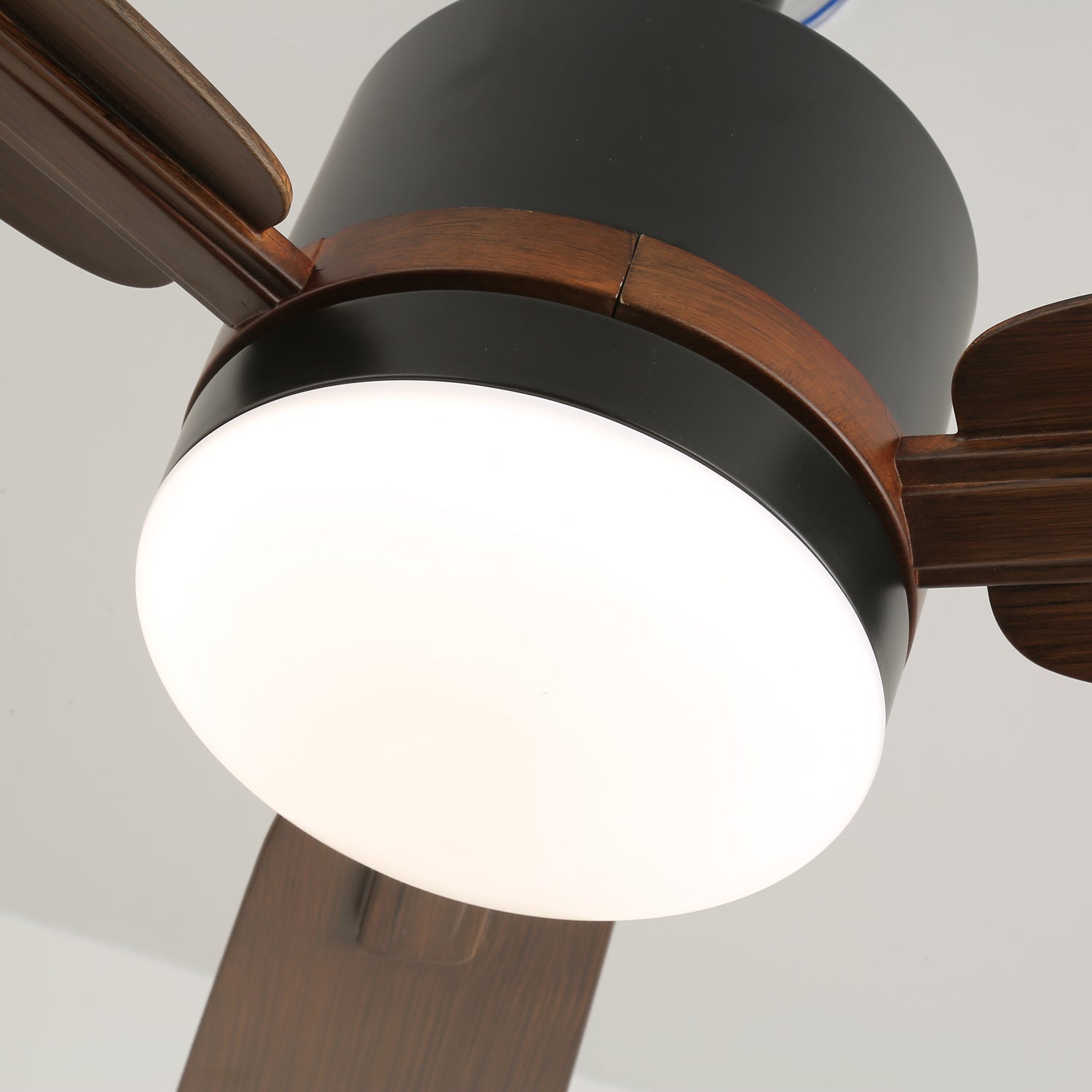 Zeyra Modern Wood Ceiling Fan Light - Letslighting