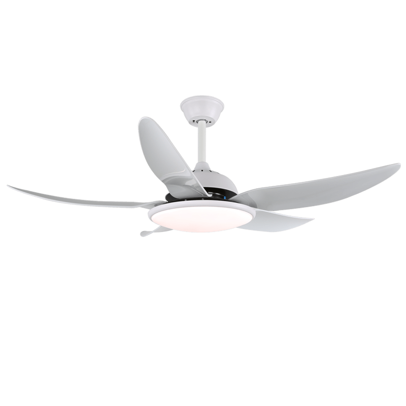 Aquila Modern Ceiling Fan Light - Letslighting