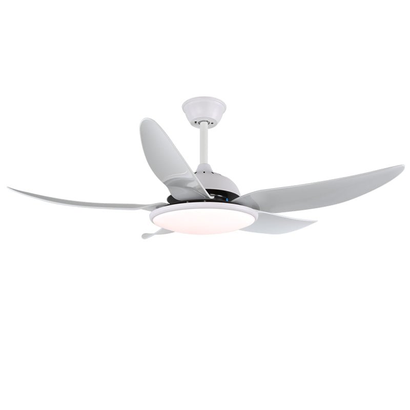 Aquila Modern Ceiling Fan Light - Letslighting