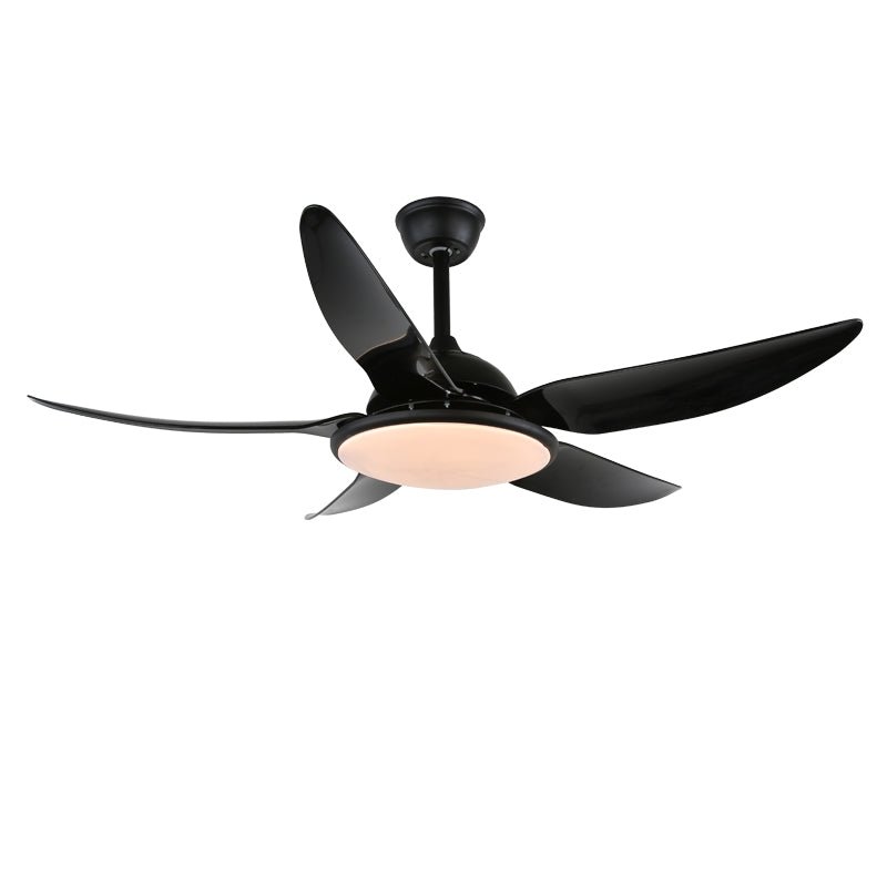 Aquila Modern Ceiling Fan Light - Letslighting