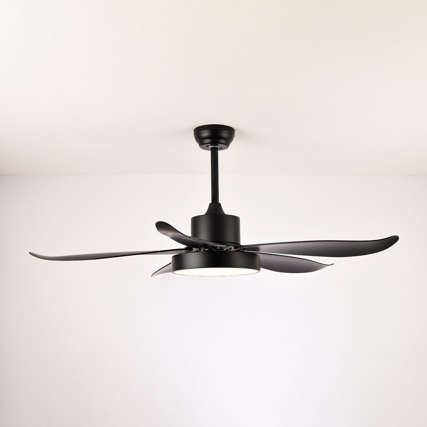 Auron Modern Ceiling Fan Light - Letslighting