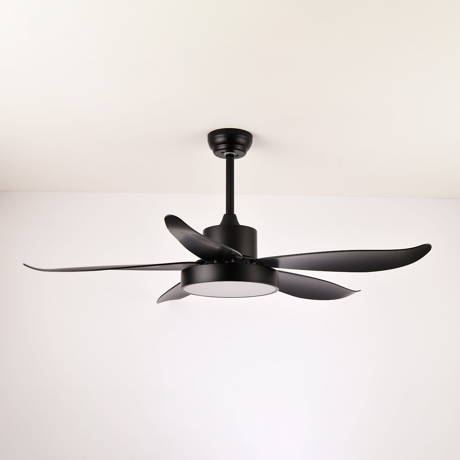 Auron Modern Ceiling Fan Light - Letslighting