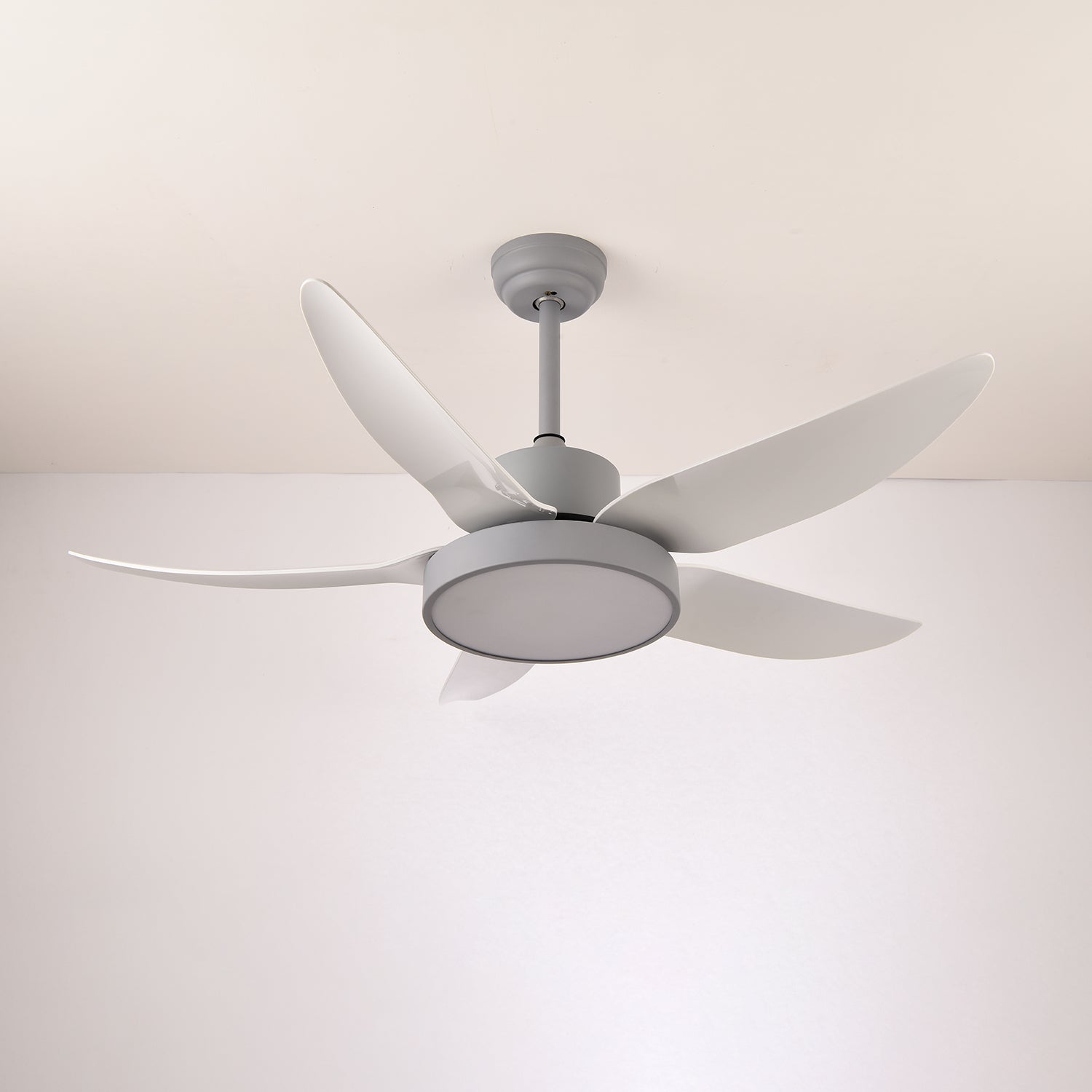 Auron Modern Ceiling Fan Light - Letslighting