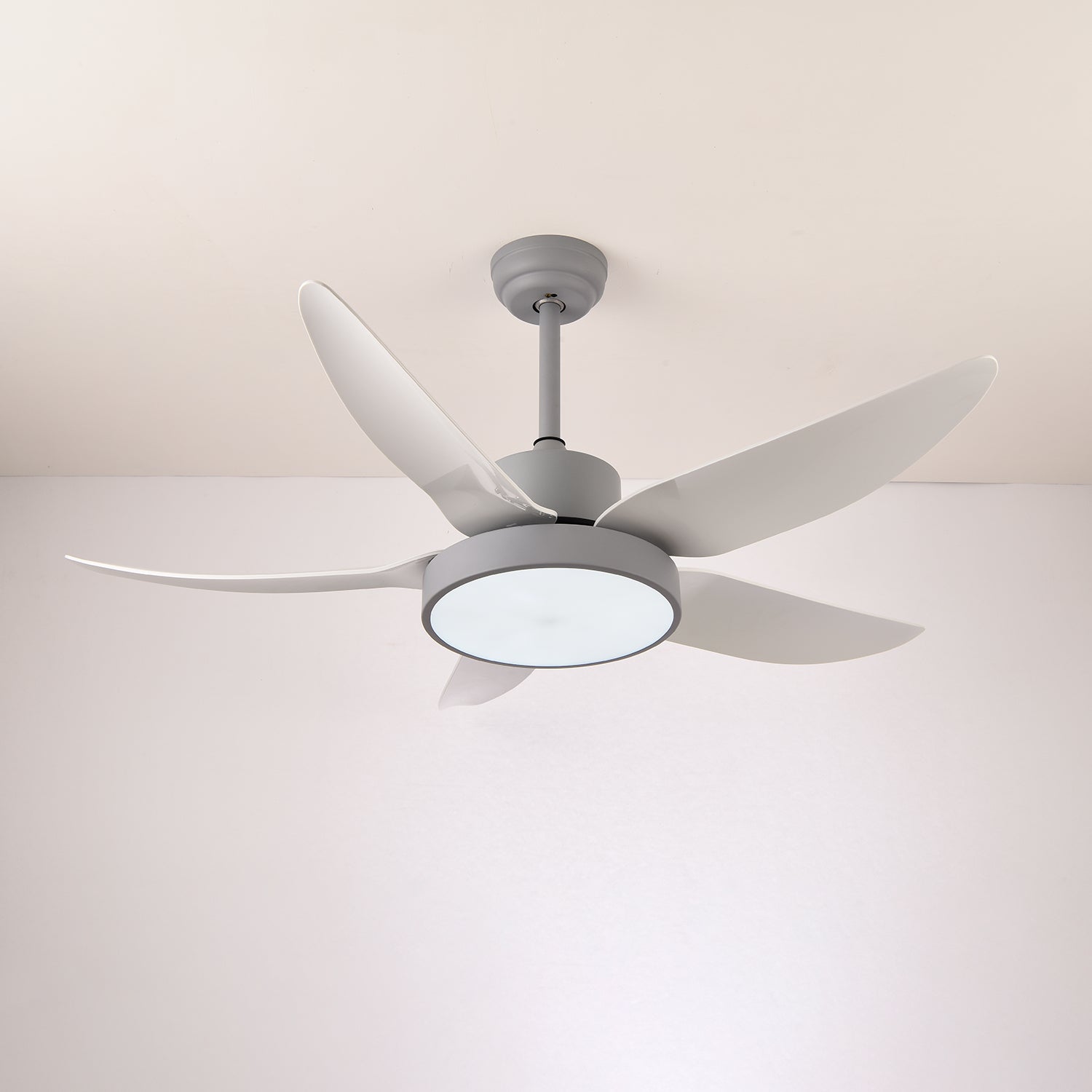 Auron Modern Ceiling Fan Light - Letslighting