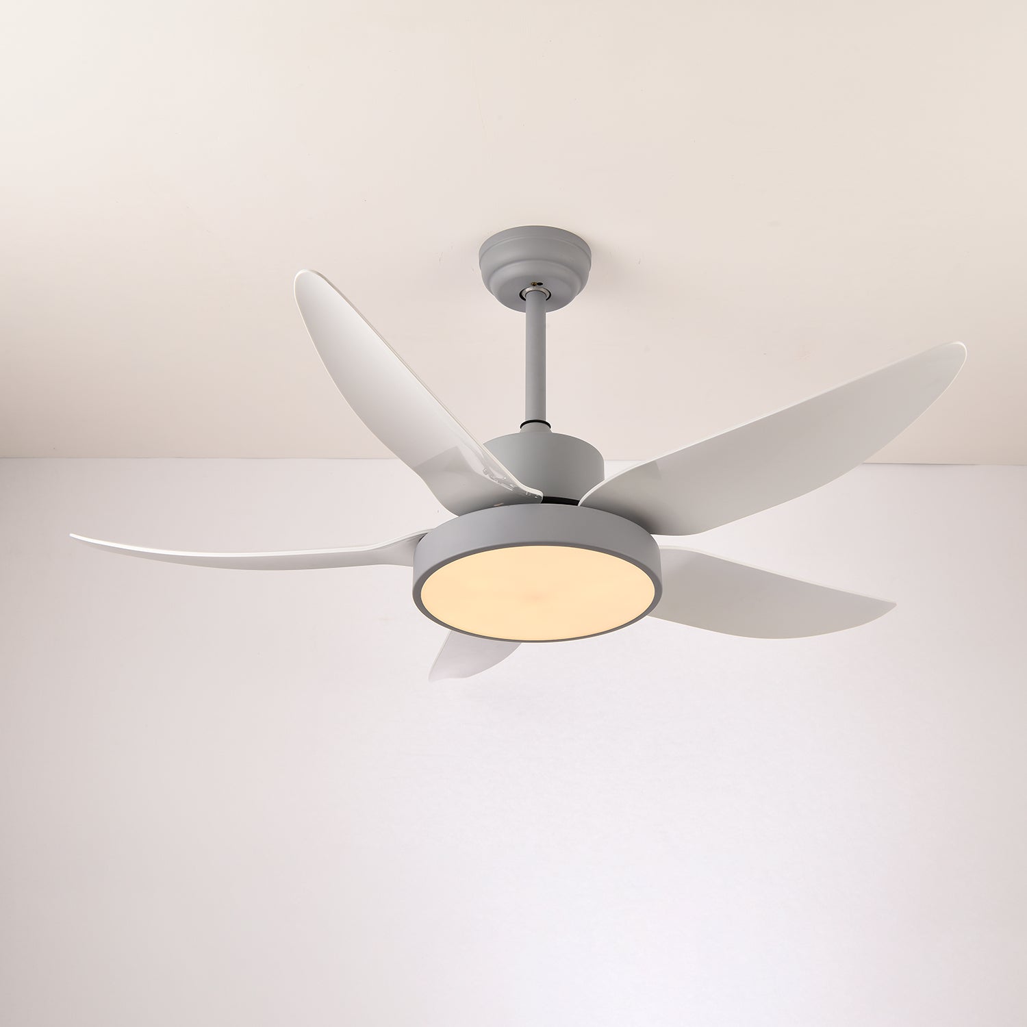 Auron Modern Ceiling Fan Light - Letslighting