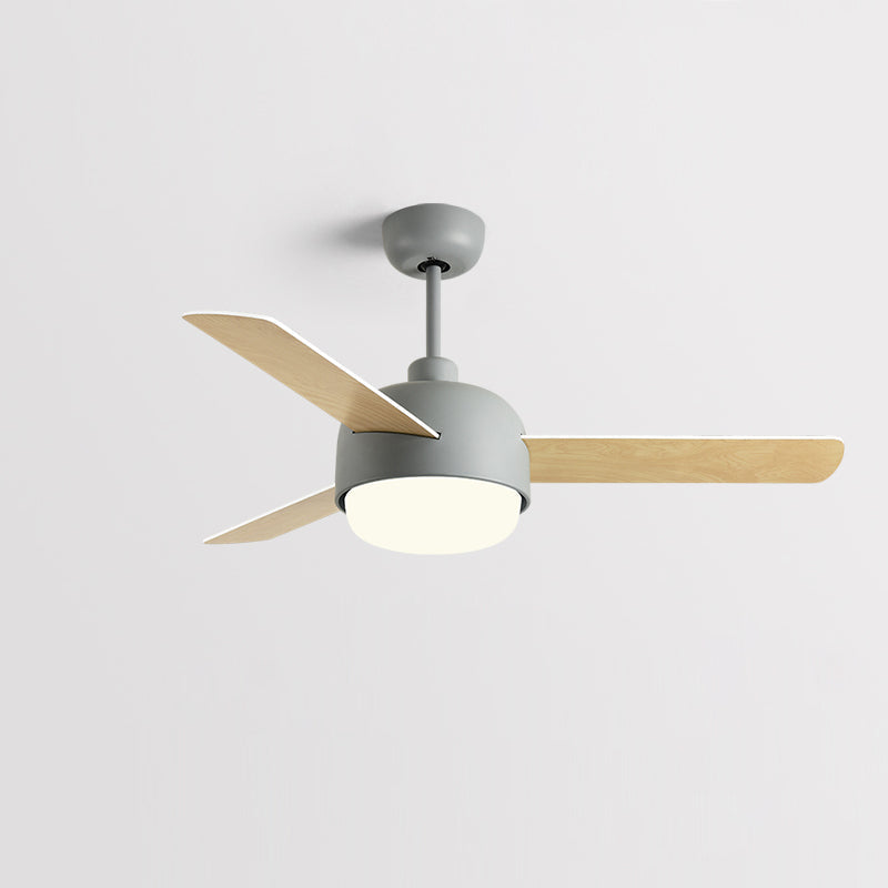Velaee Nordic Macaron Ceiling Fan Light - Letslighting
