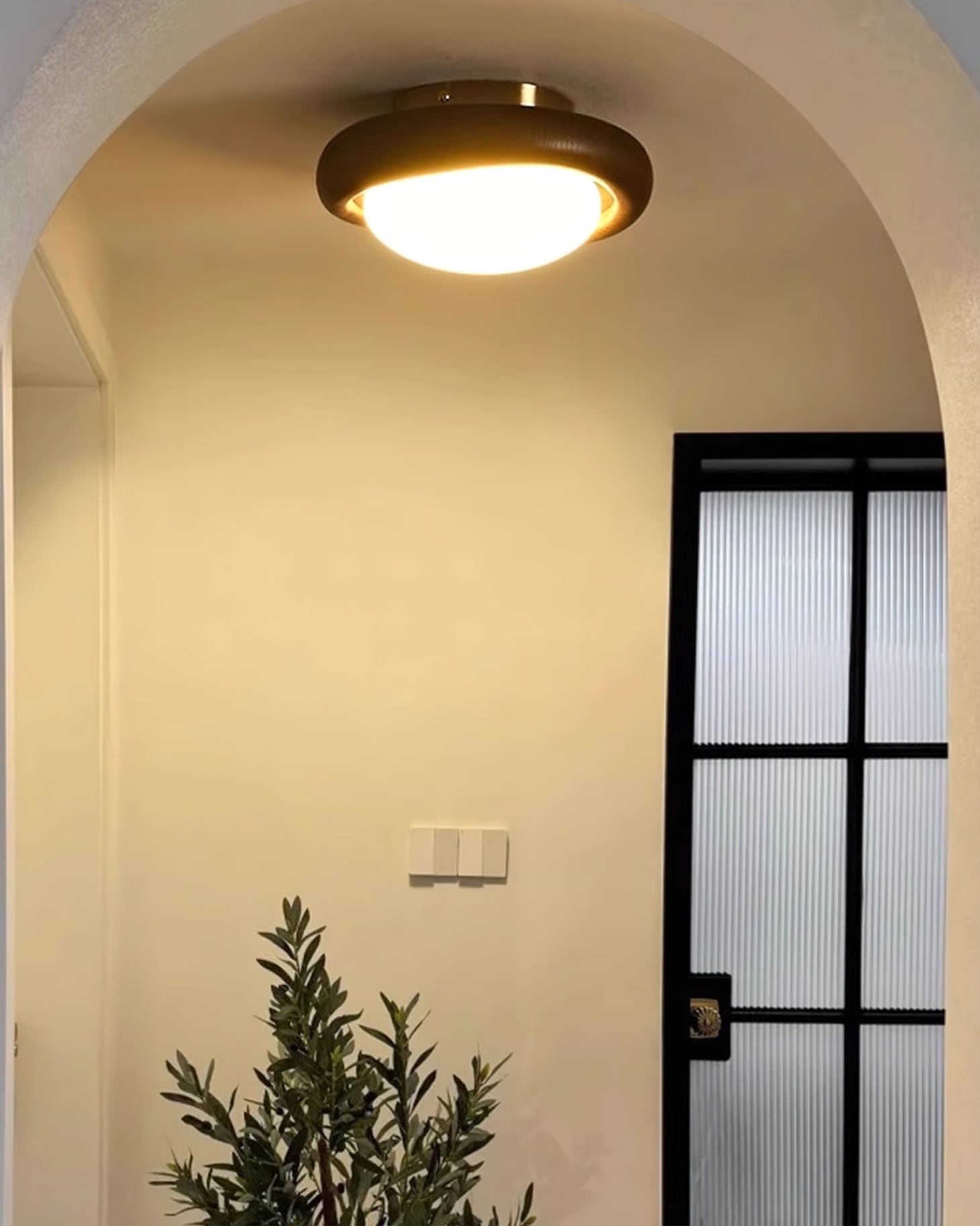 Novi Ceiling Lamp Wooden Ring With Frosted Globe - Letslighting