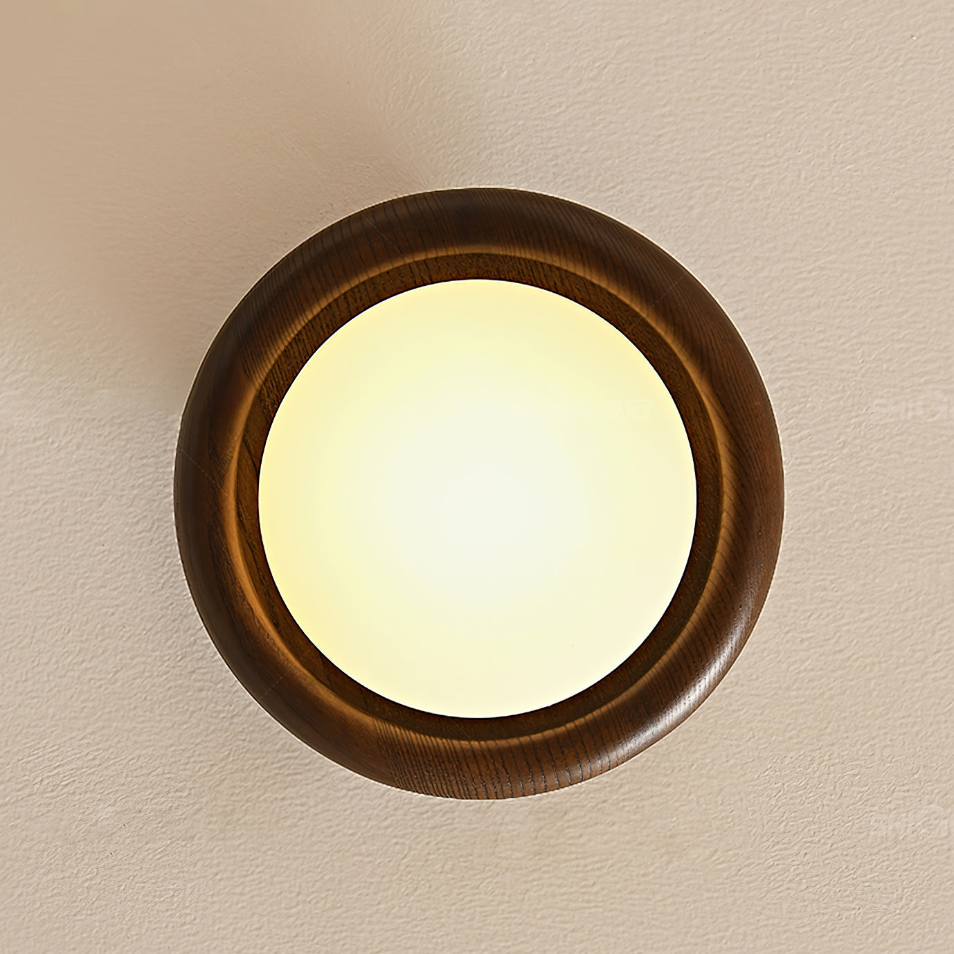 Novi Ceiling Lamp Wooden Ring With Frosted Globe - Letslighting