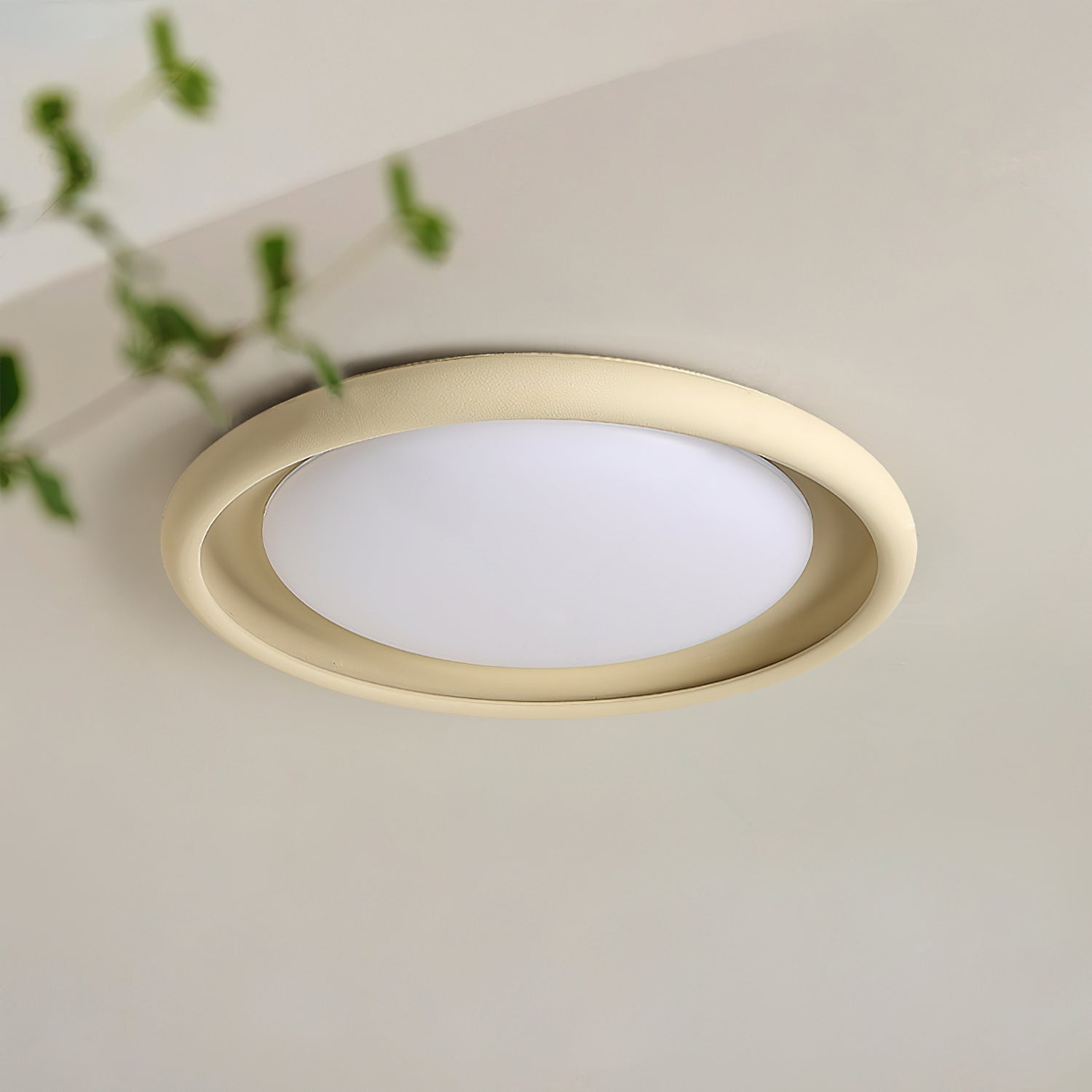Nuria Ceiling Light Concrete Acrylic Circular Minimalist - Letslighting