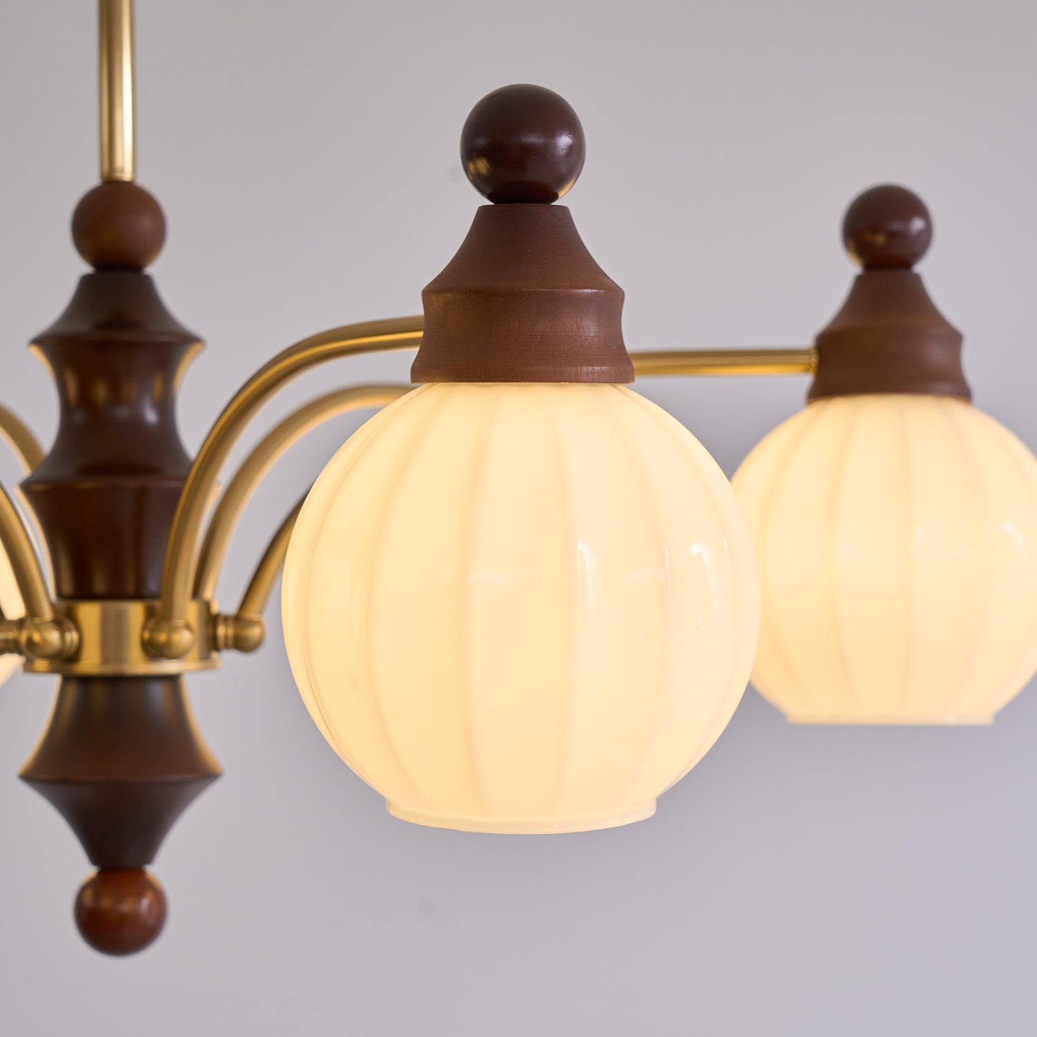 Lustra Chandelier Blossom with Glass Shades - Letslighting