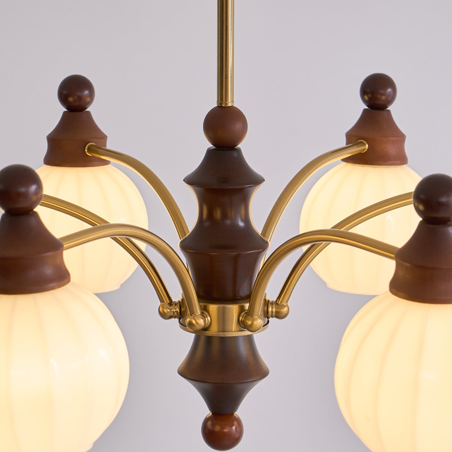 Lustra Chandelier Blossom with Glass Shades - Letslighting