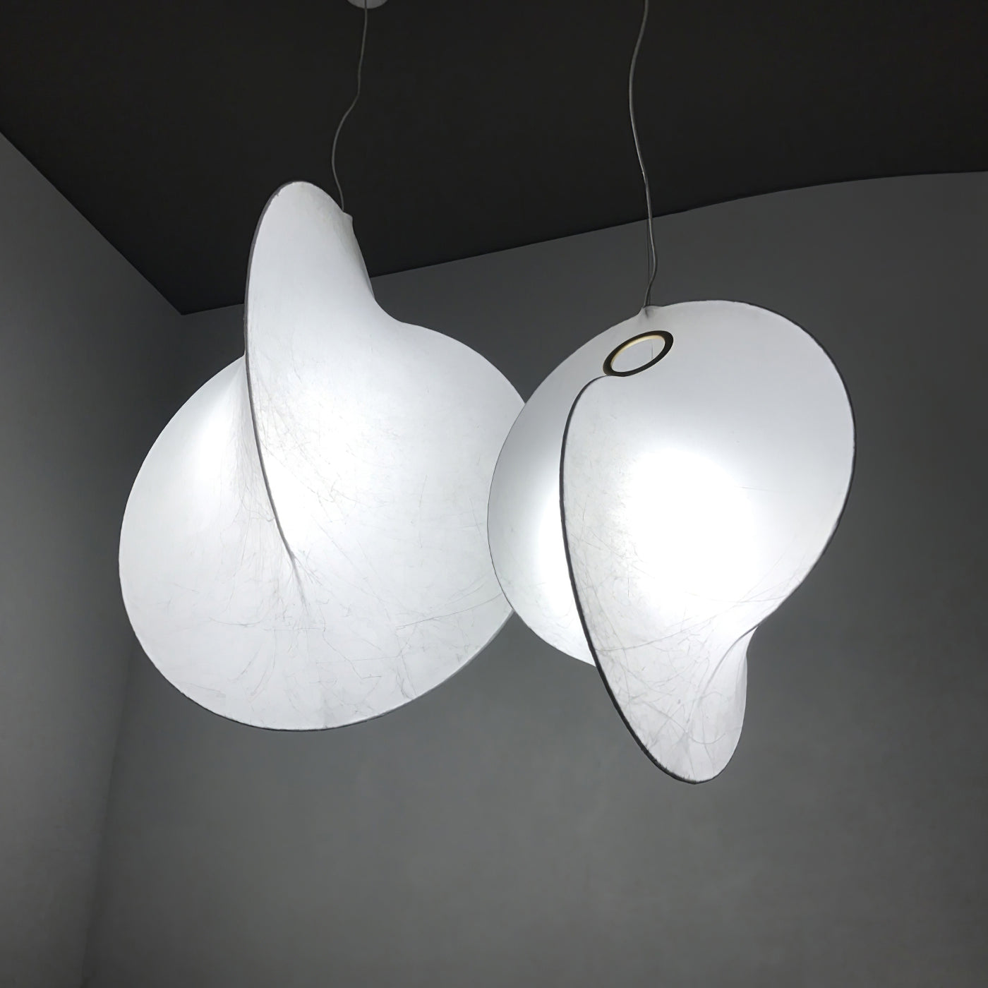 Mirelian Steel Artistic Pendant Lamp - Letslighting