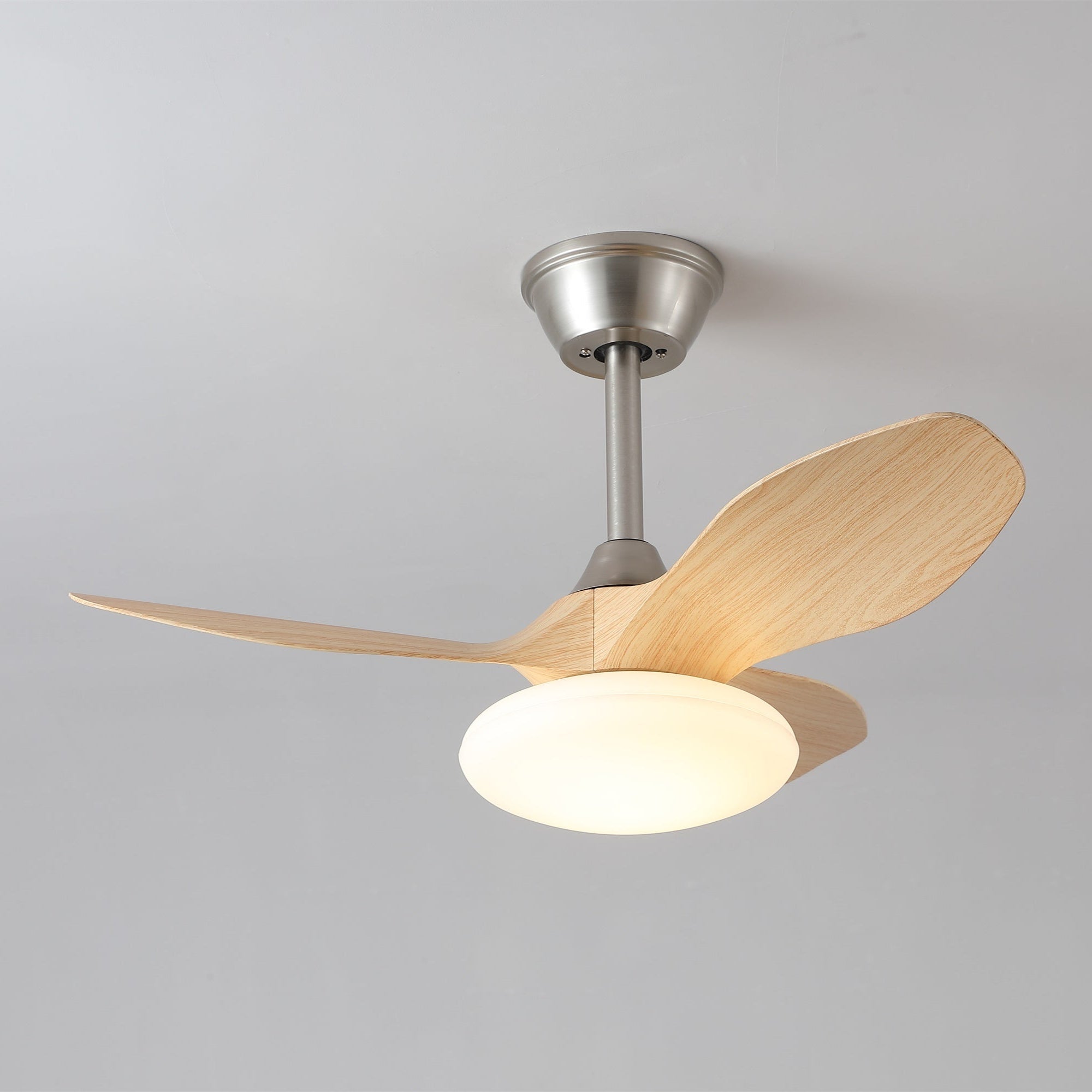 Zephira Ceiling Fan Light - Letslighting